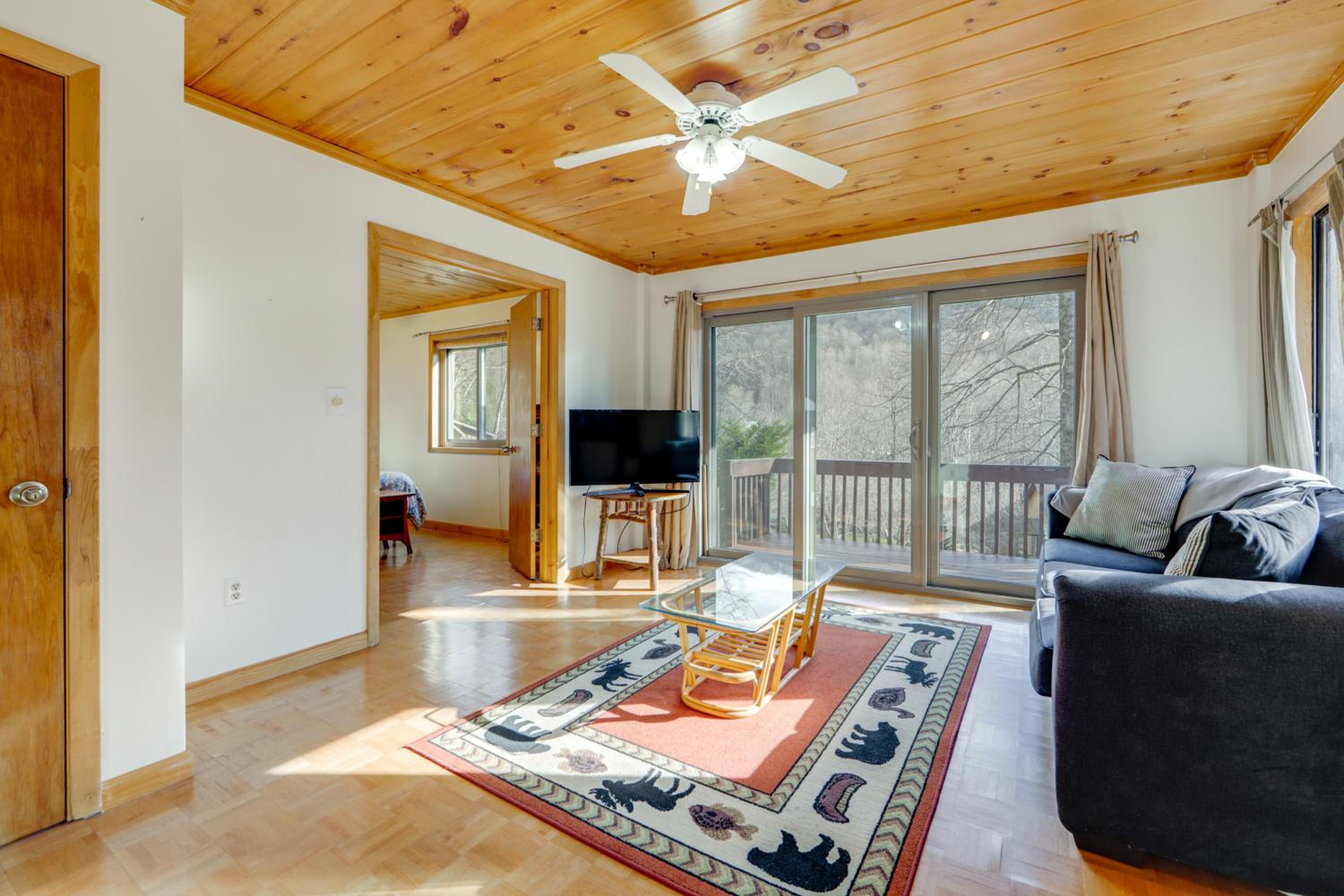 Dog-Friendly Cabin 6 Mi to Cataloochee Skiing!