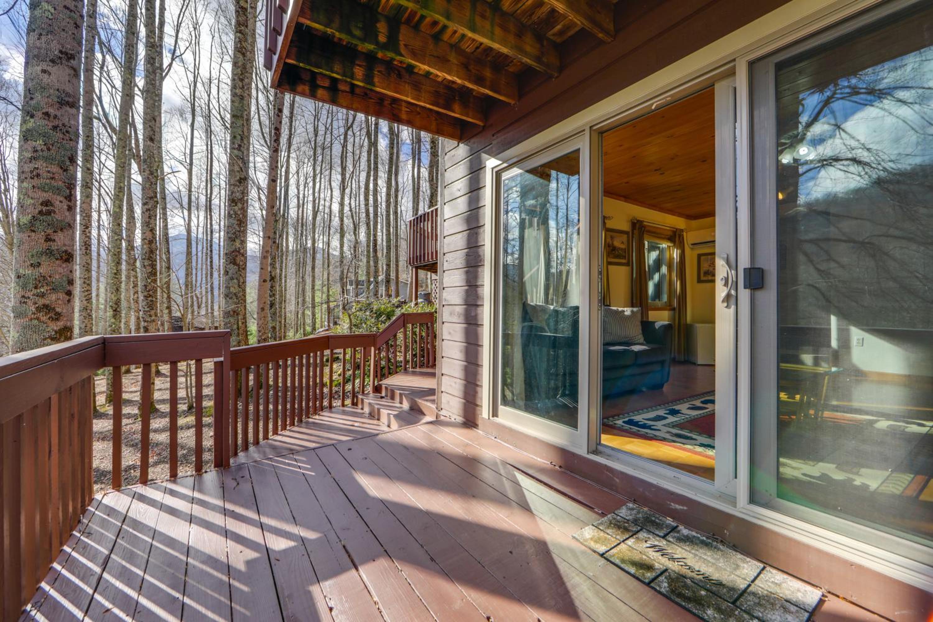 Dog-Friendly Cabin 6 Mi to Cataloochee Skiing!