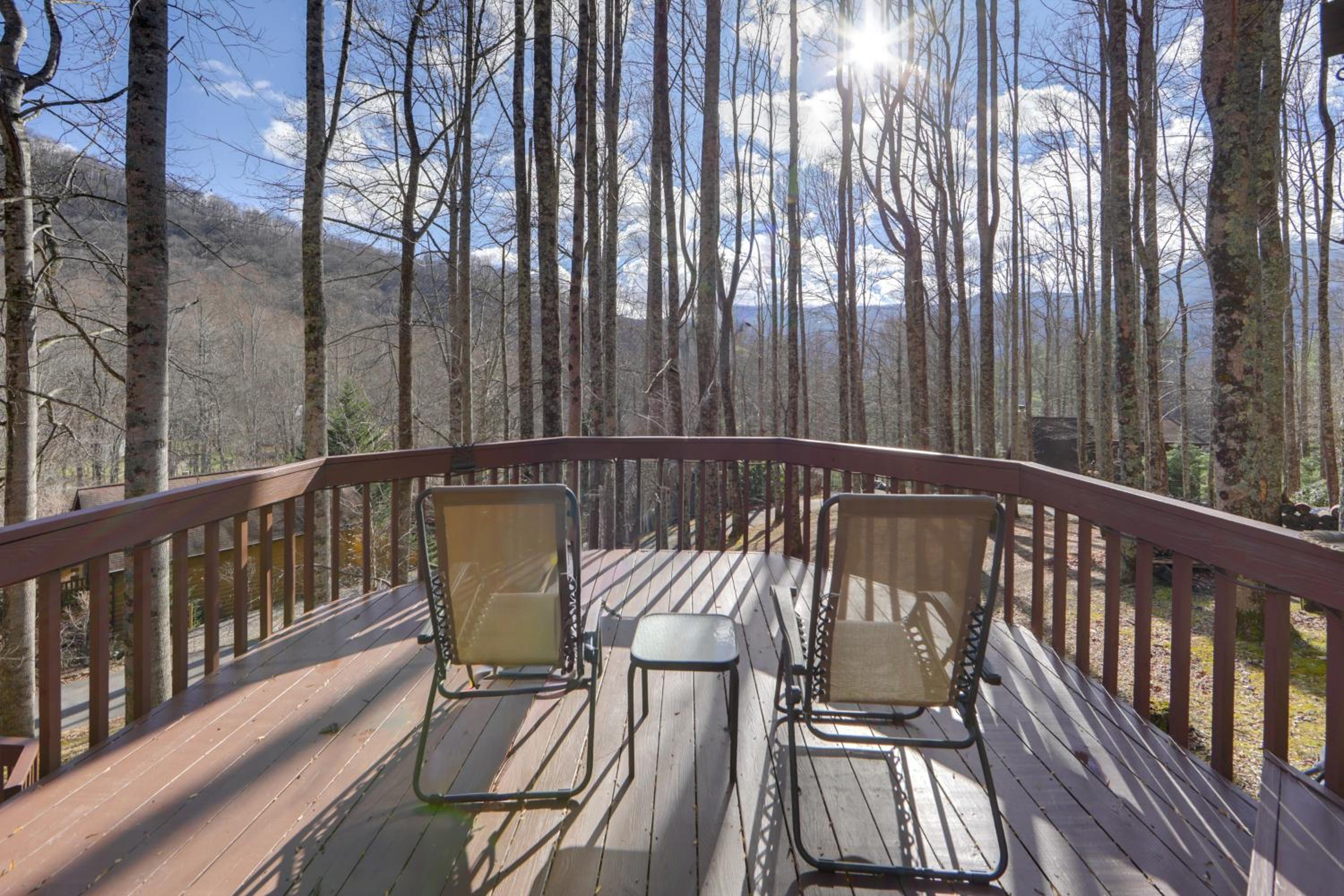Dog-Friendly Cabin 6 Mi to Cataloochee Skiing!