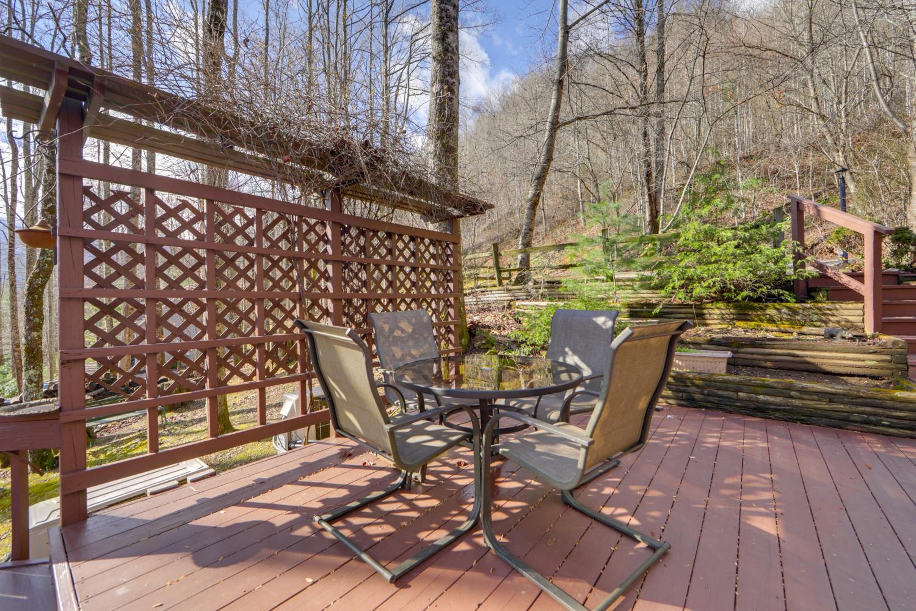 Dog-Friendly Cabin 6 Mi to Cataloochee Skiing!