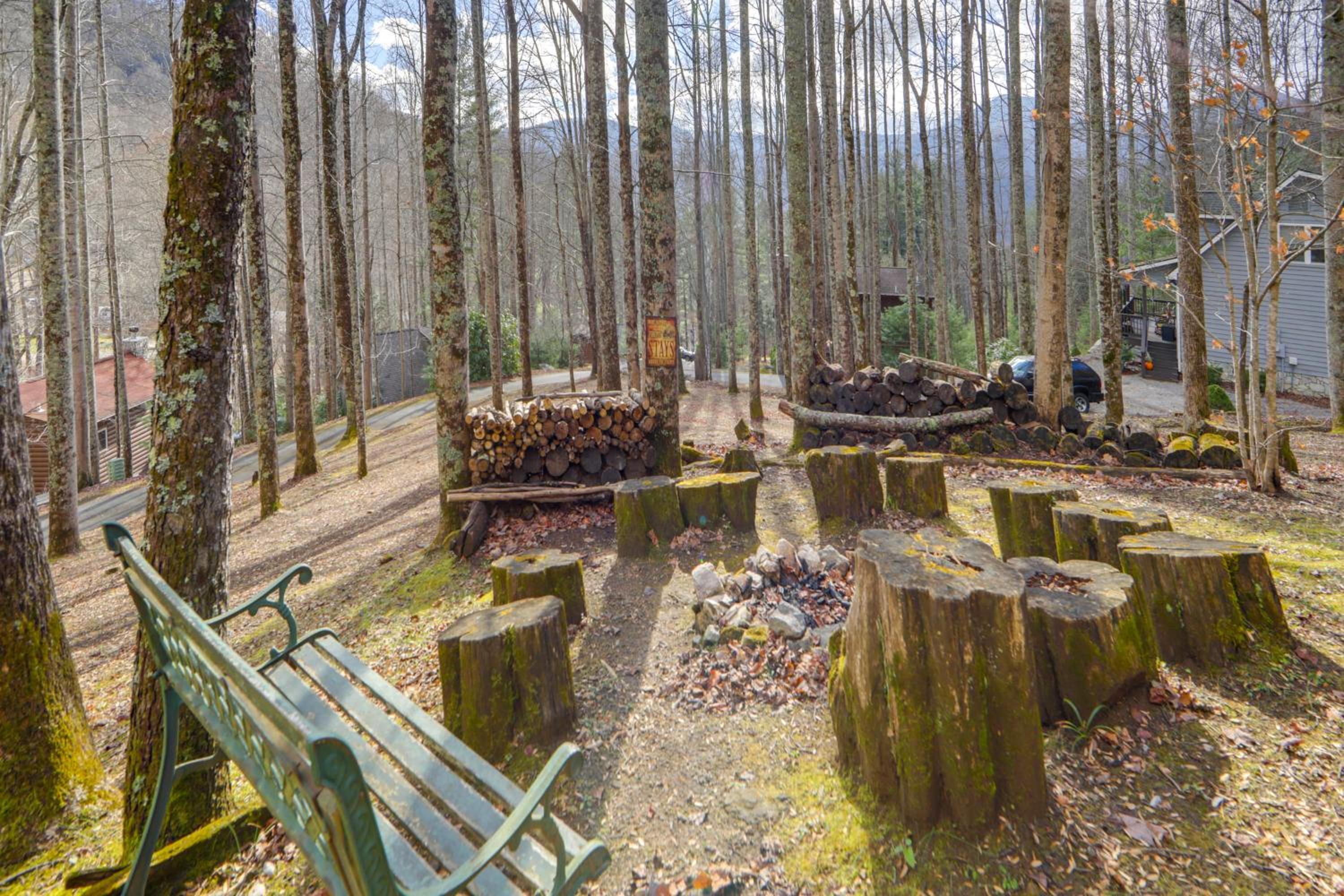 Dog-Friendly Cabin 6 Mi to Cataloochee Skiing!