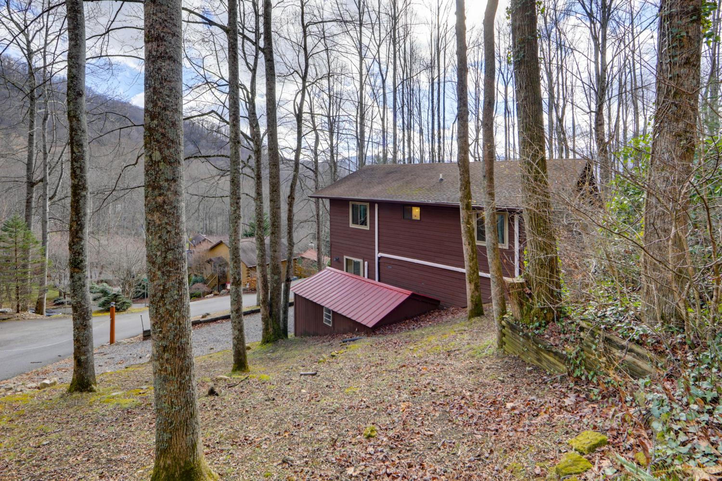 Dog-Friendly Cabin 6 Mi to Cataloochee Skiing!