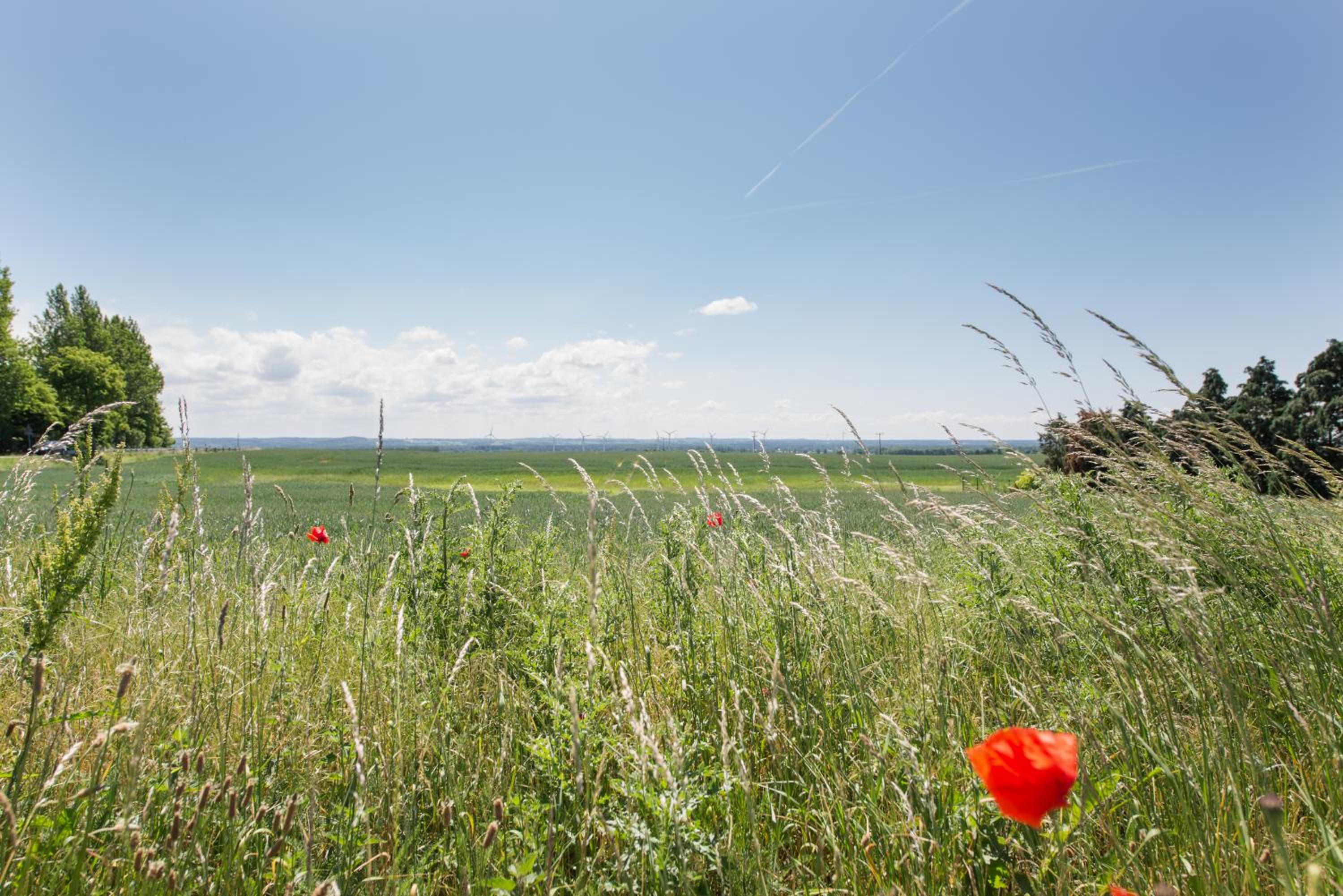 Hotel-Pension Seeblick