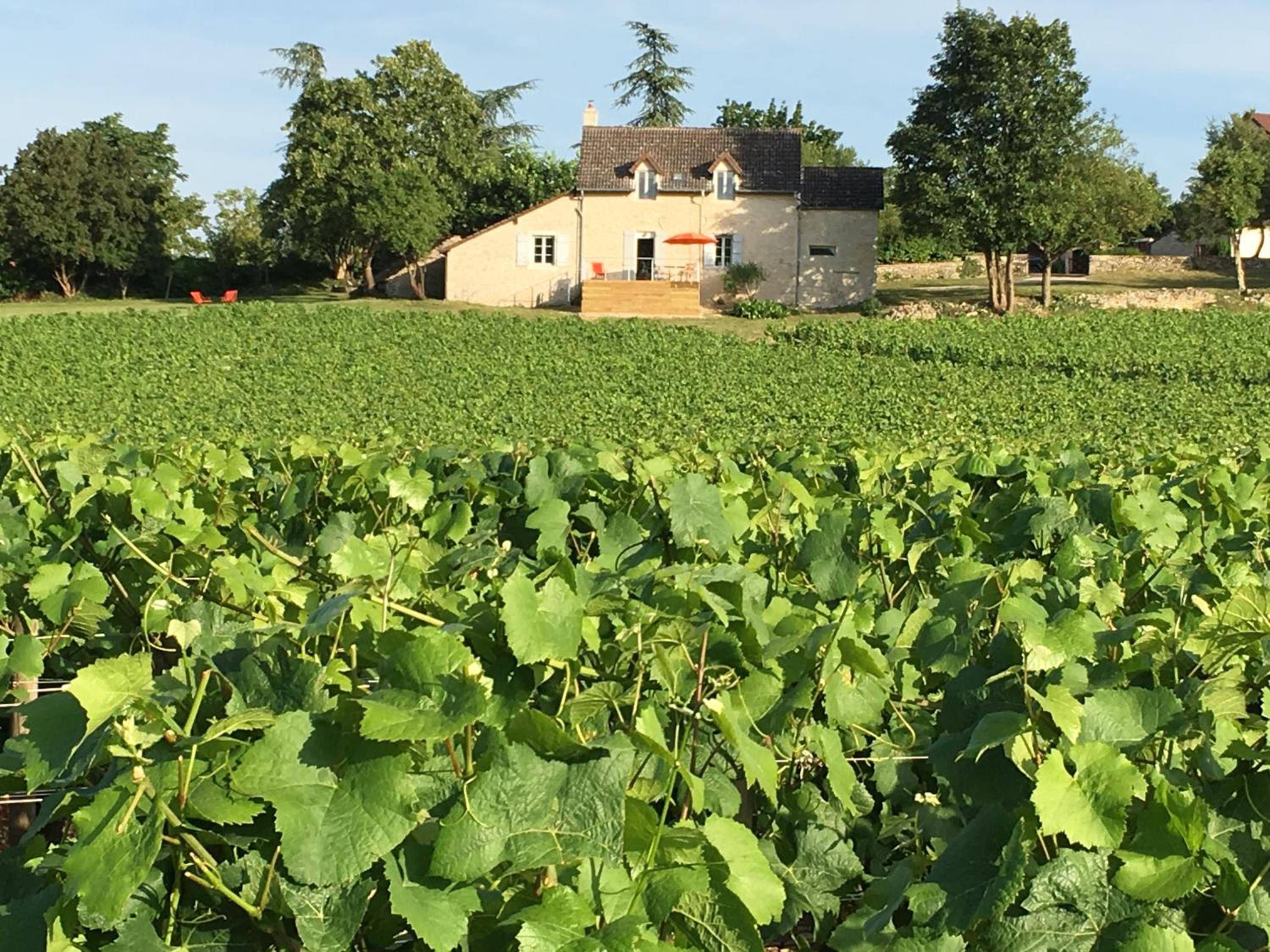 La Maison du Clos du Roi
