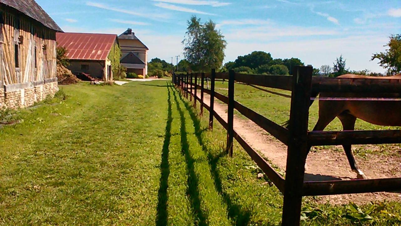 B&B Haras de la Cour Fleury view 4