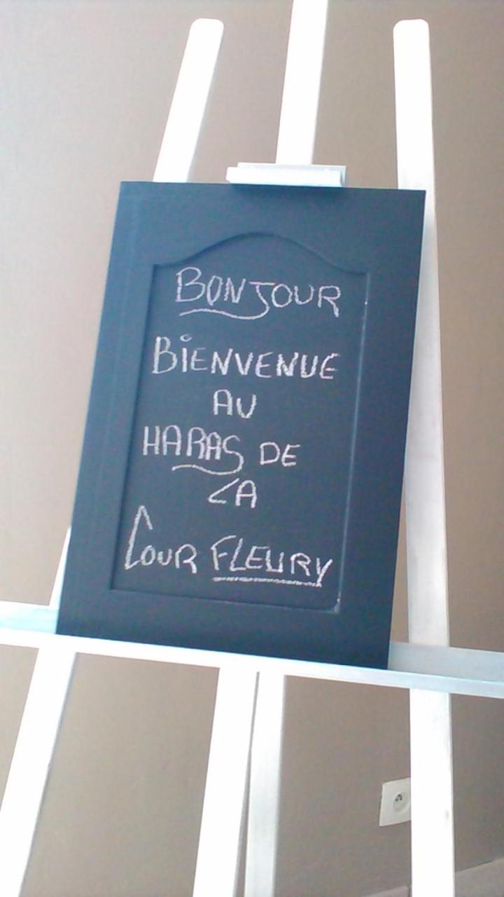 B&B Haras de la Cour Fleury view 2