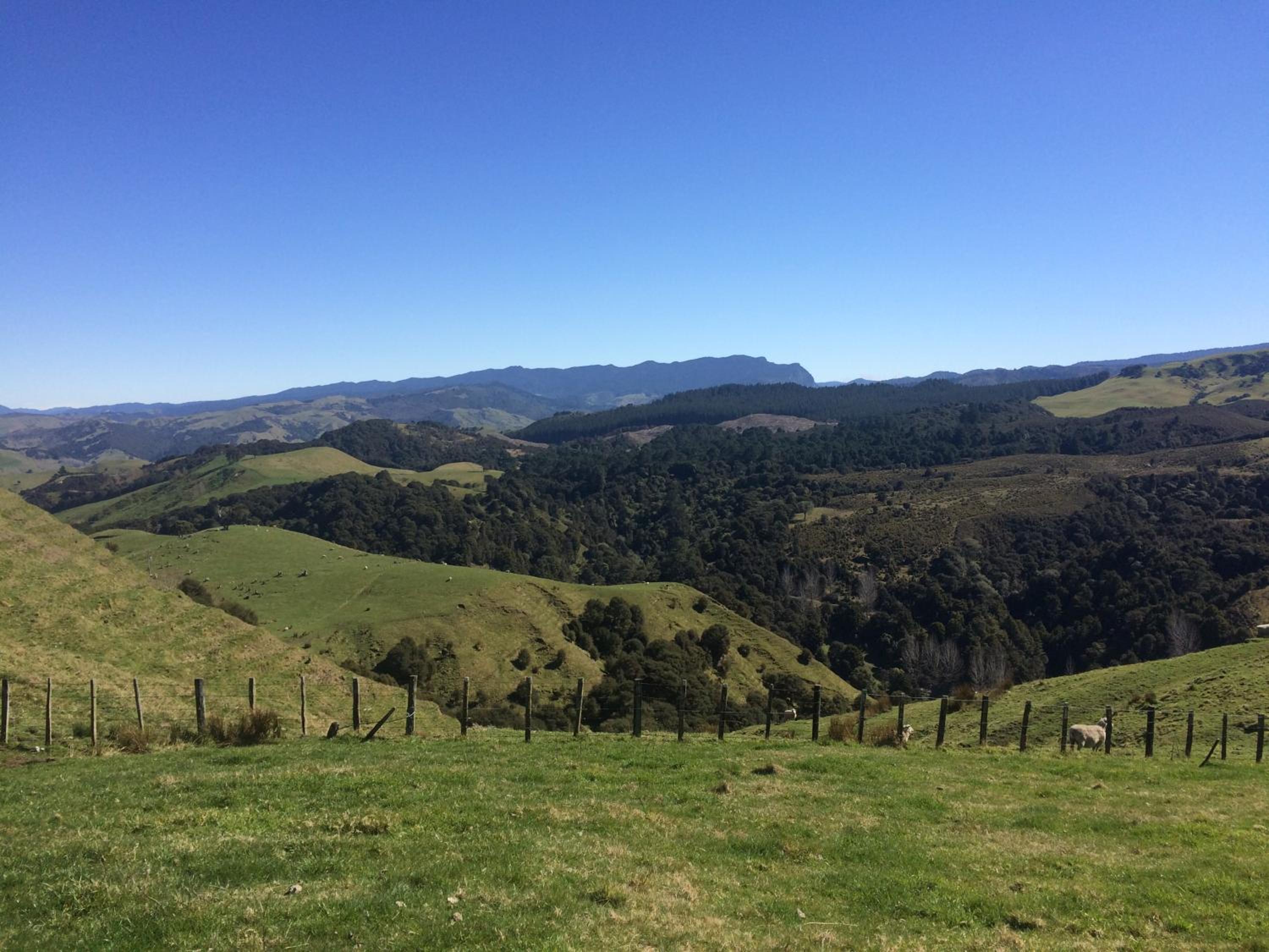 Photo 30