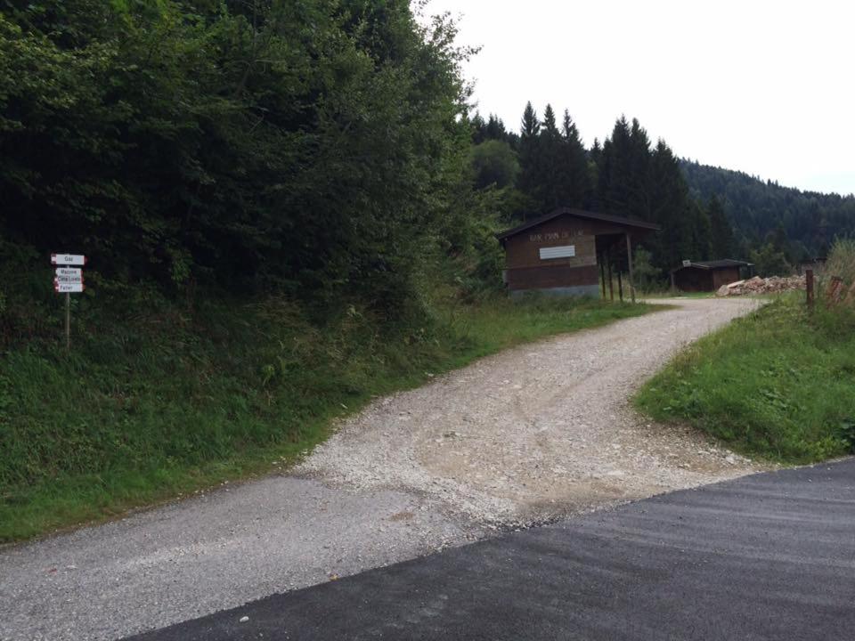 Photo 45
