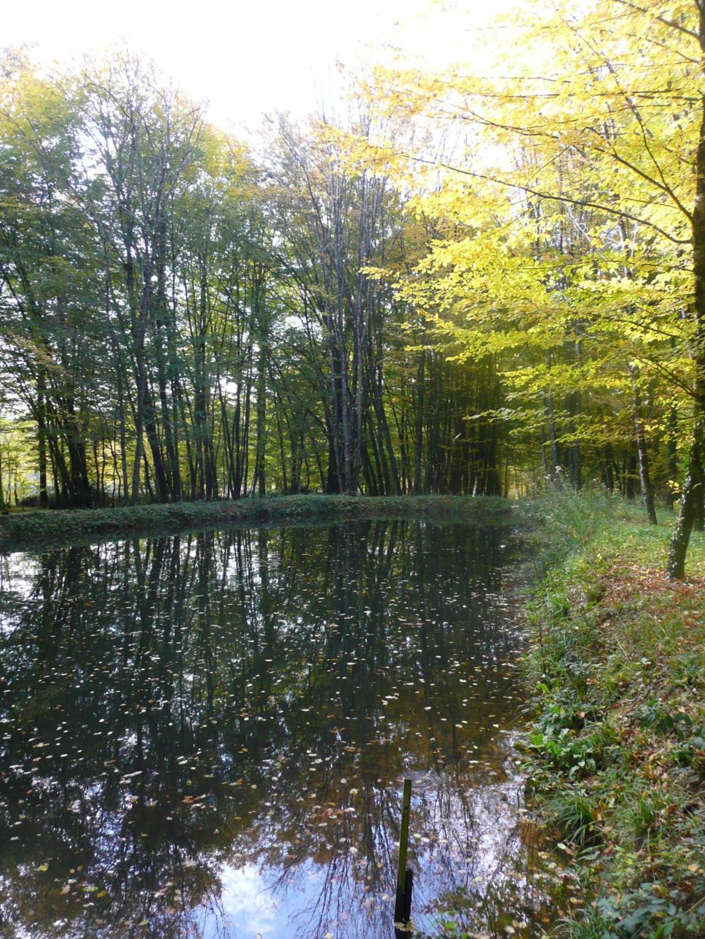 La Faisanderie 16