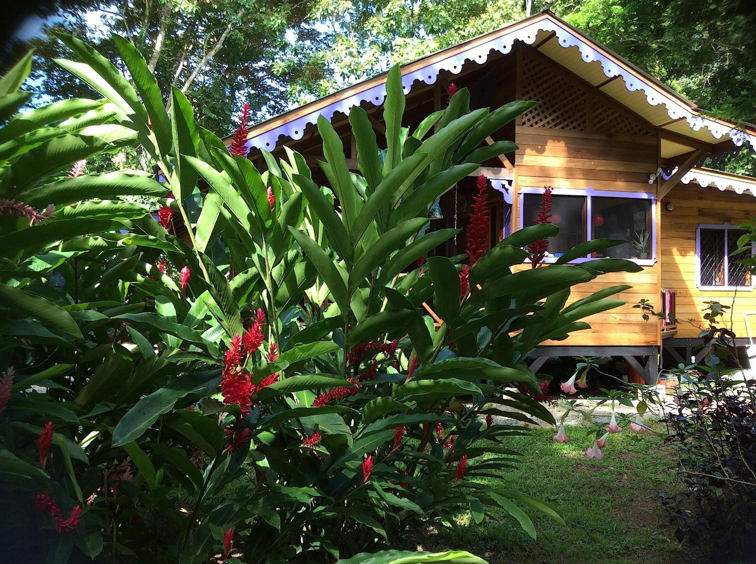 El Jardin de Playa Negra