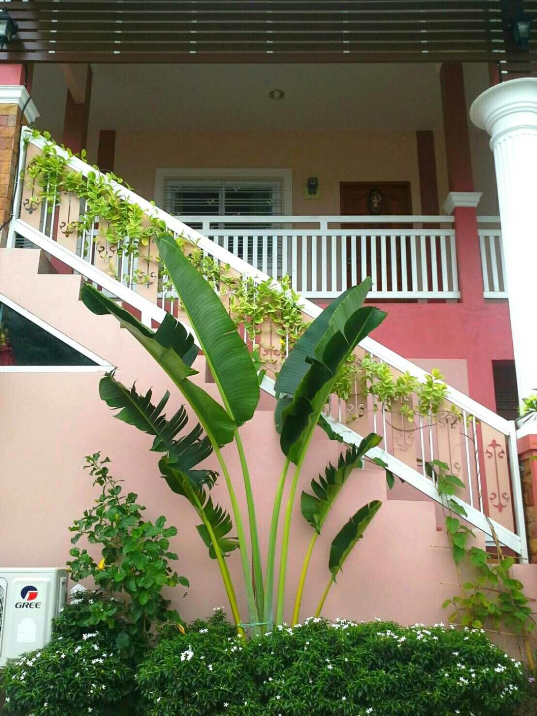 Lampang Lanna Home