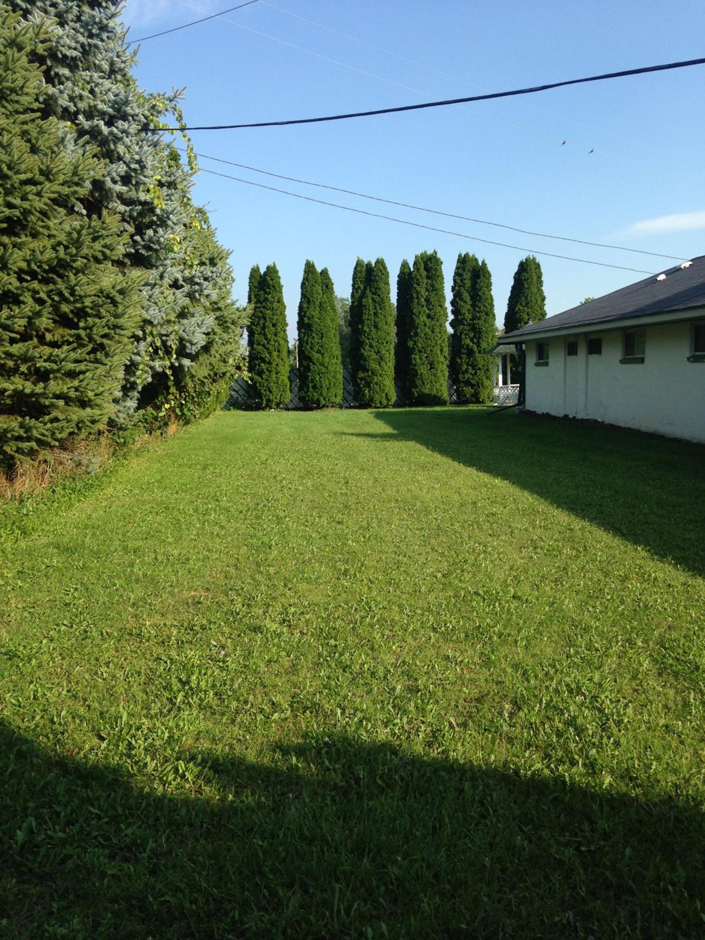 Heidelberg Motel by Capital O Bridgeport Frankenmuth I 75