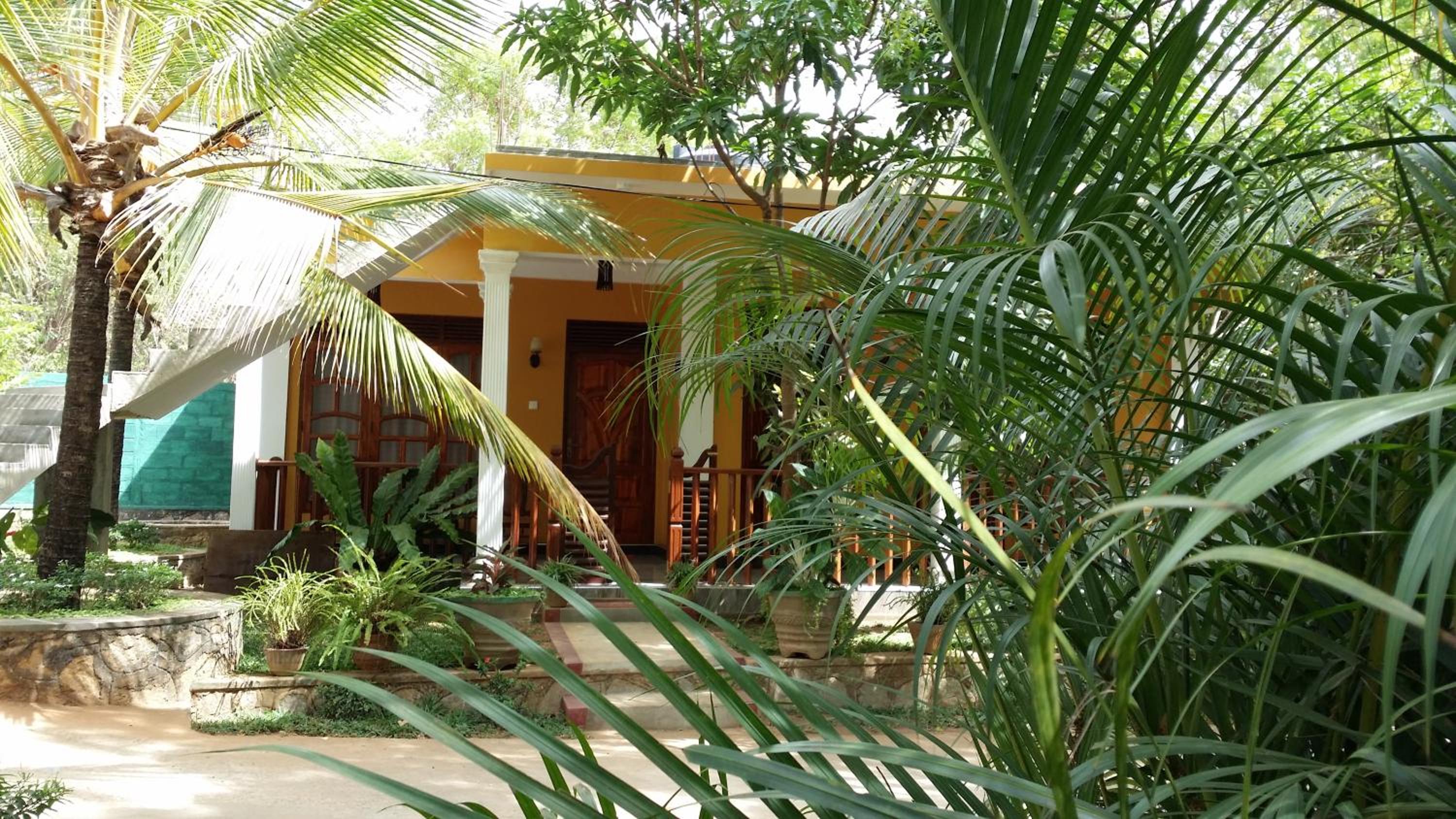 Photo 8
