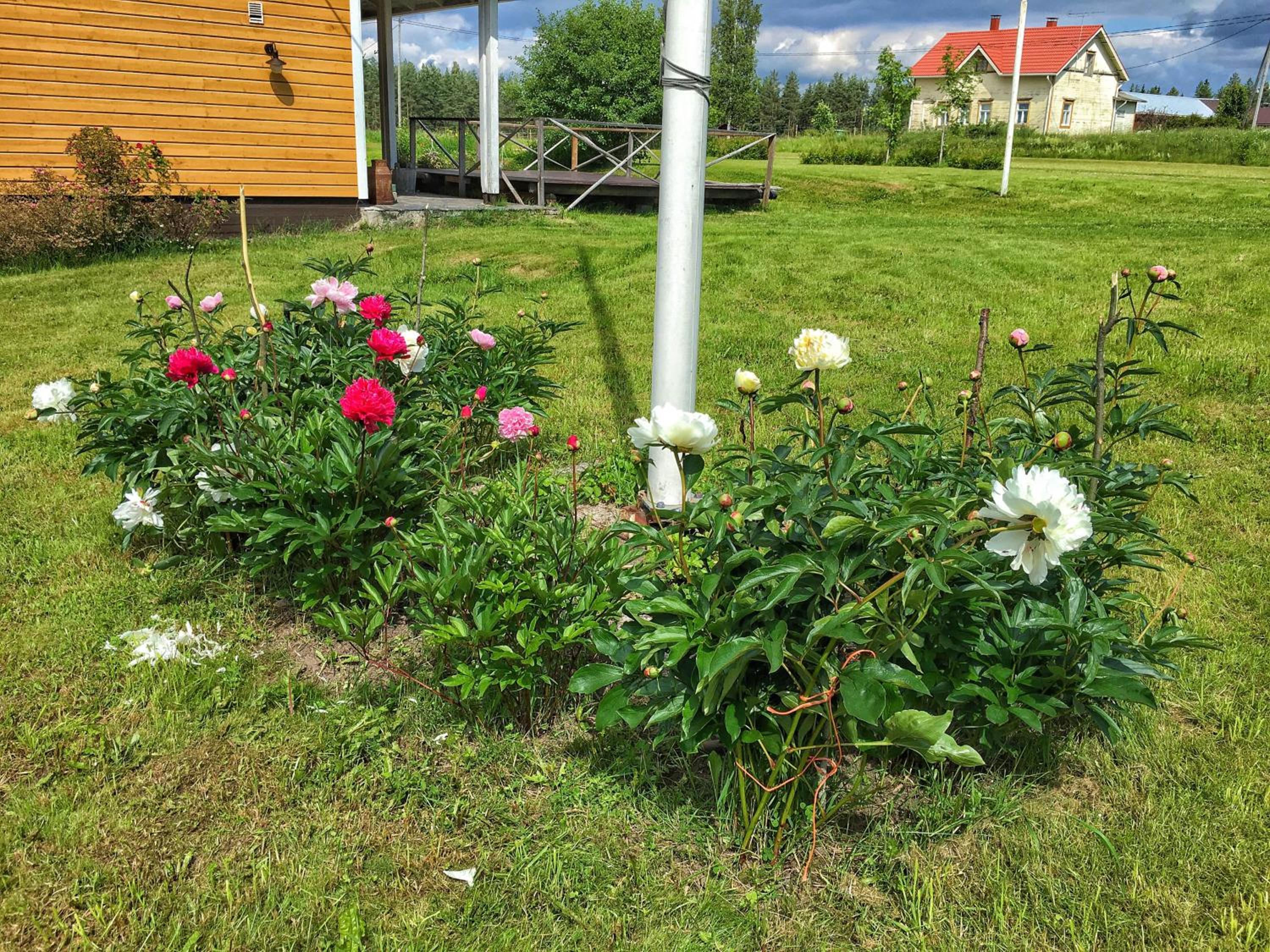 Mulikan HillTon B&B