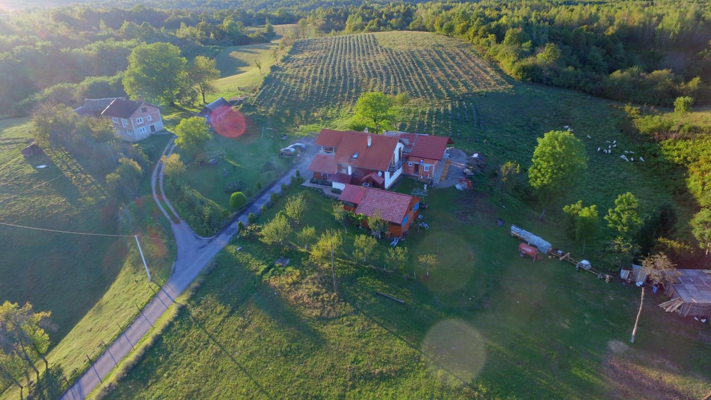 Lavanda farm apartmani