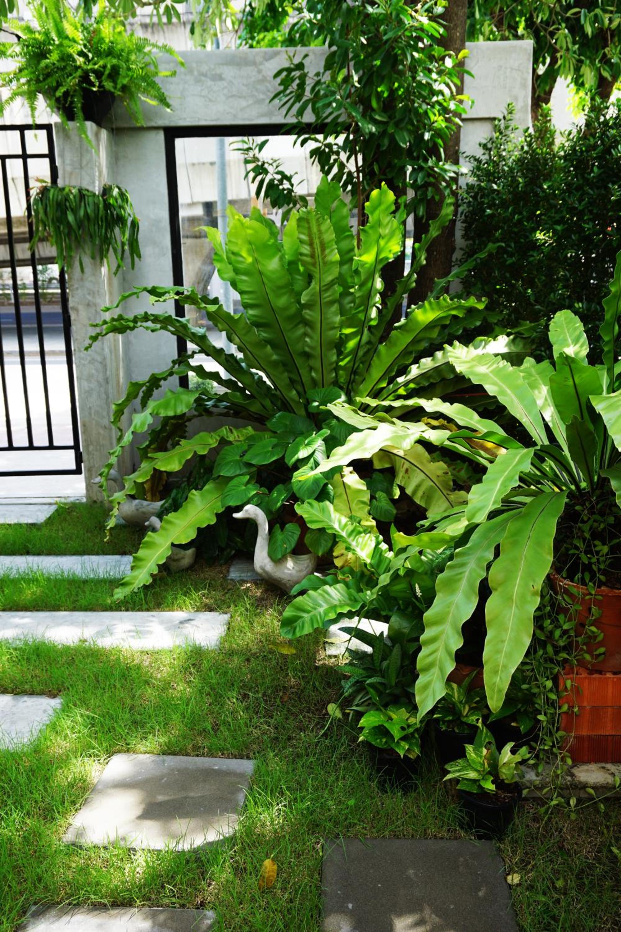 Hansa Bangkok House
