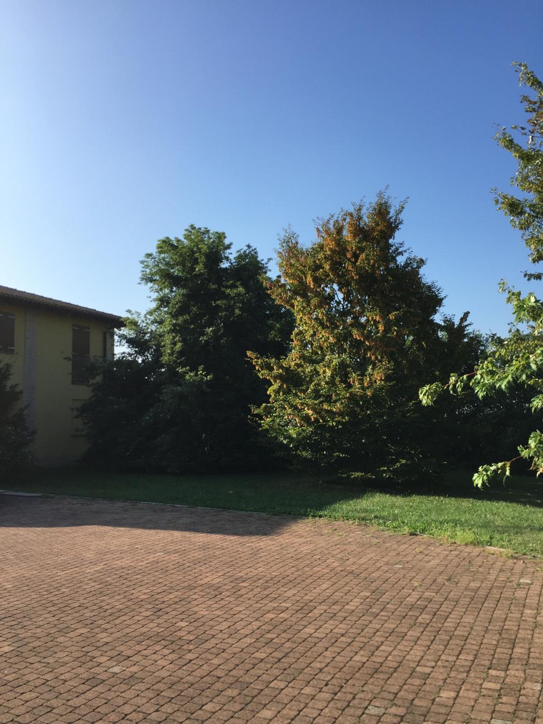 B&B Oasi view 3