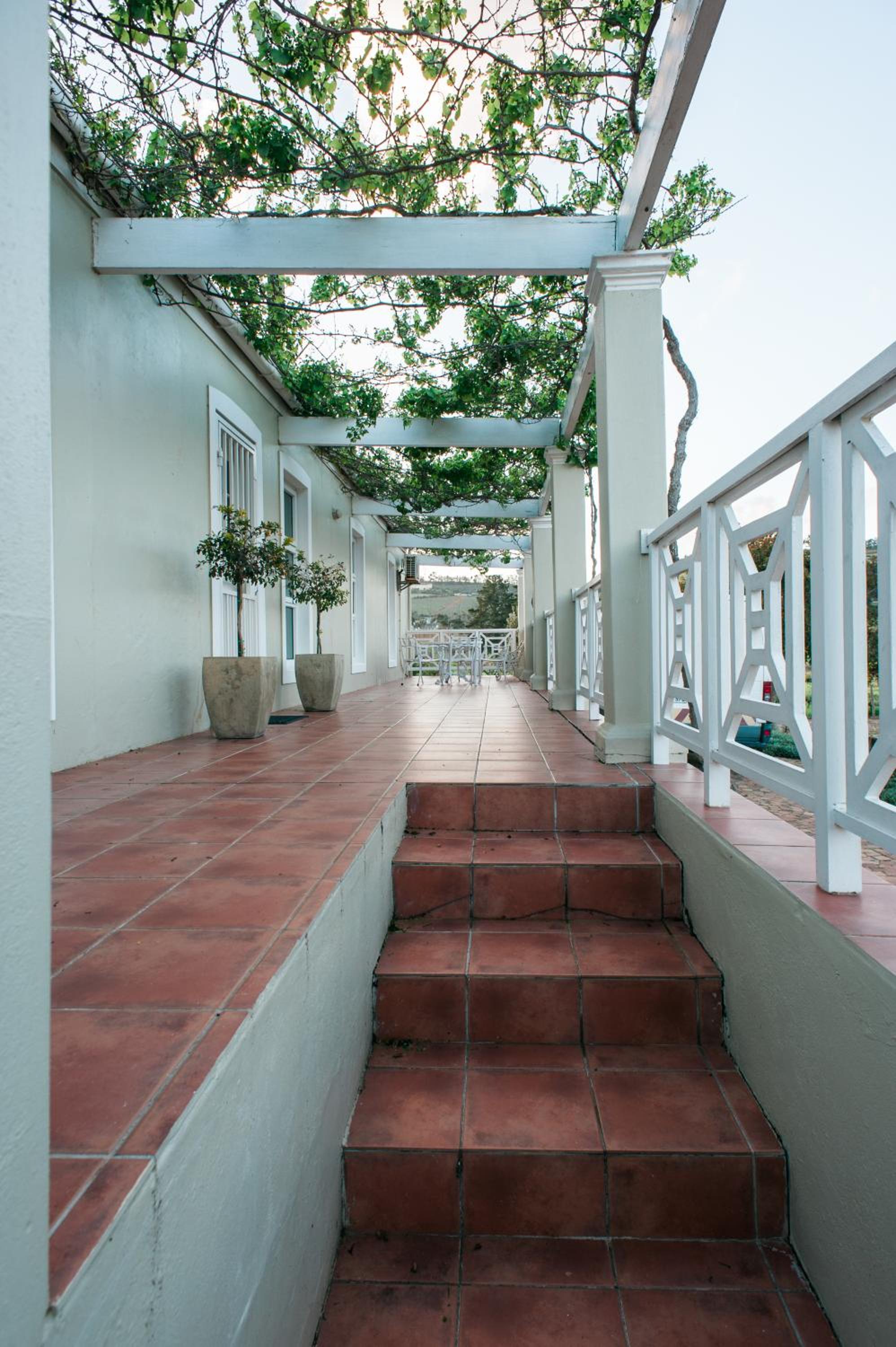 Clos Malverne Wine Estate