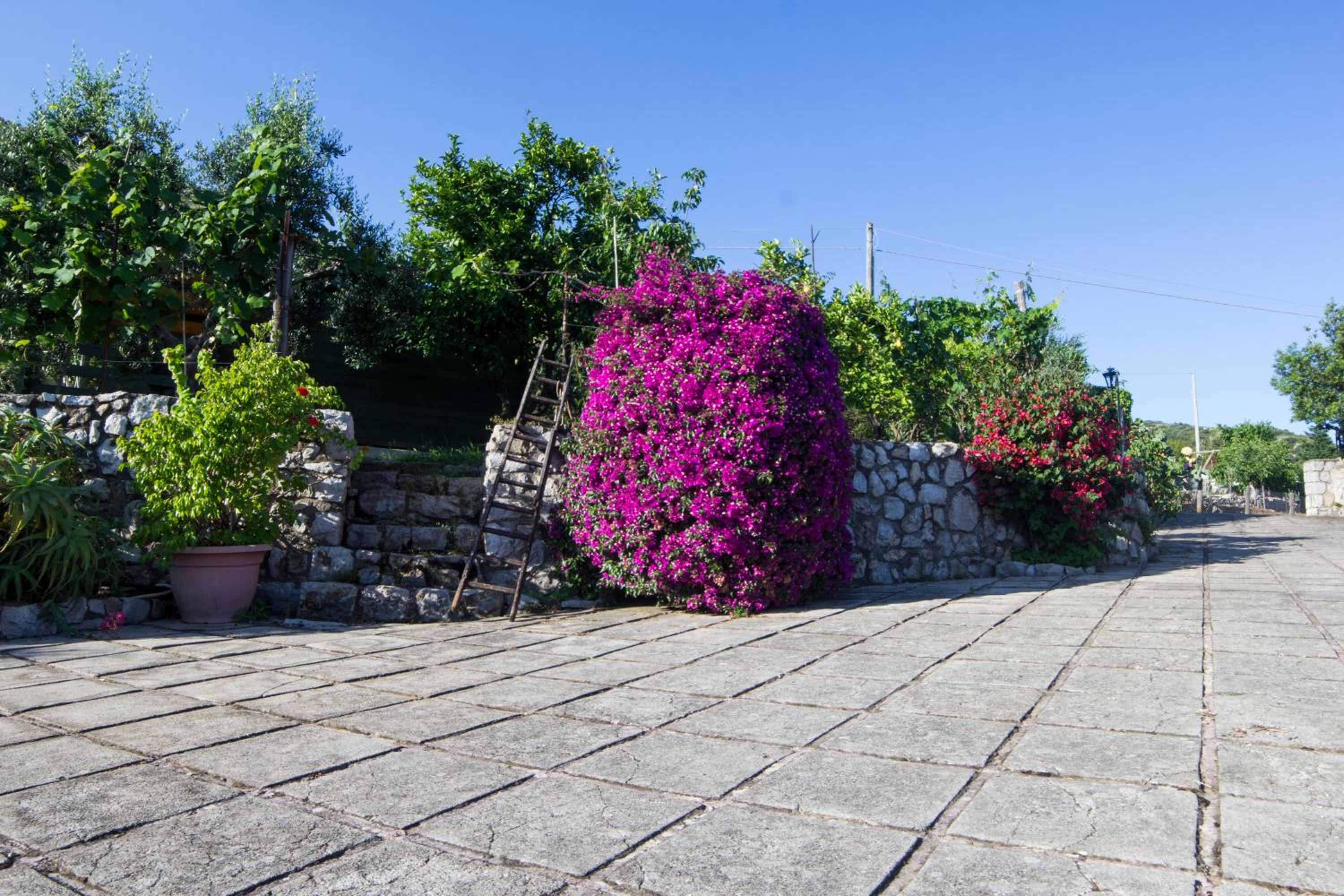 Villa Ida Bed & Breakfast