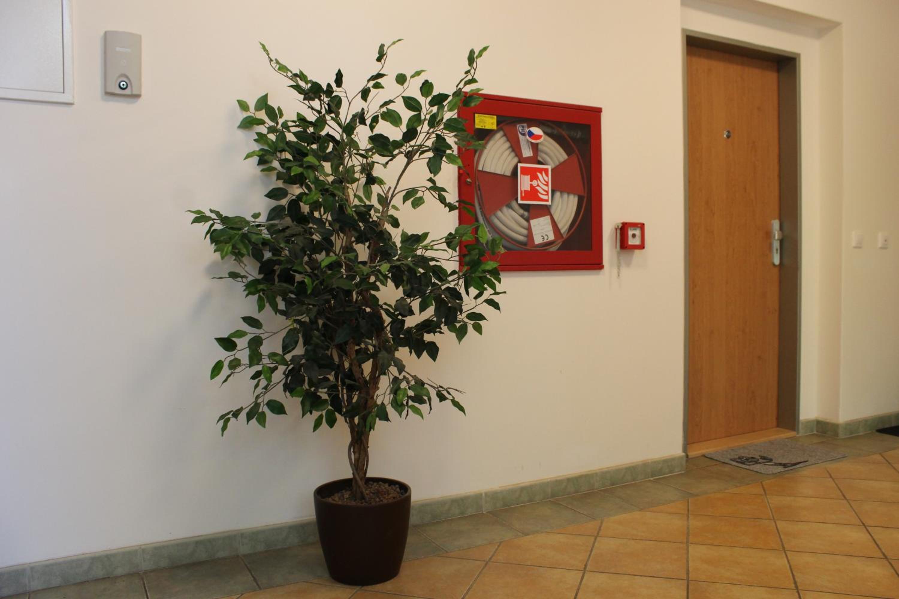 Photo 40