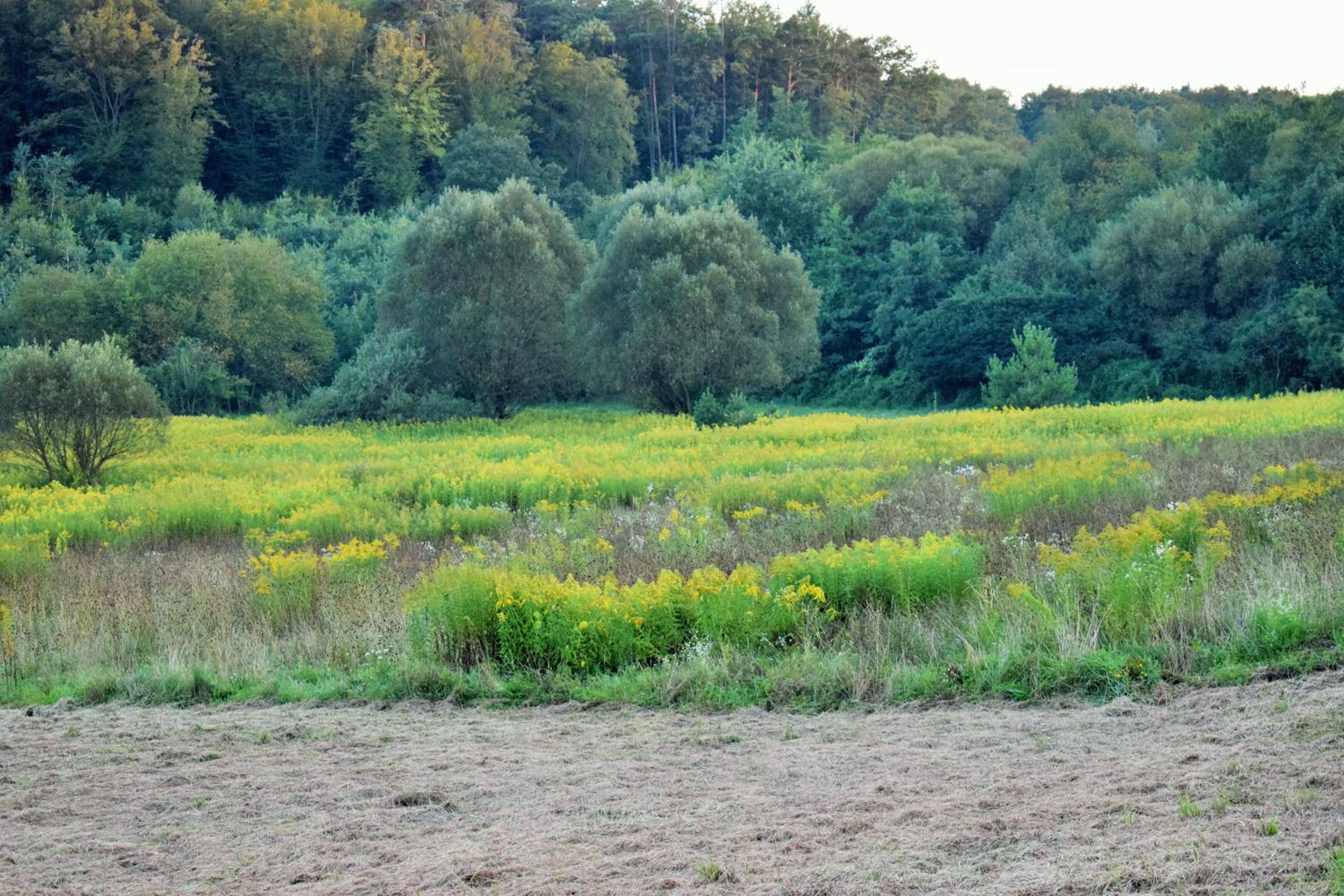 Hétmérföldes Vendégház