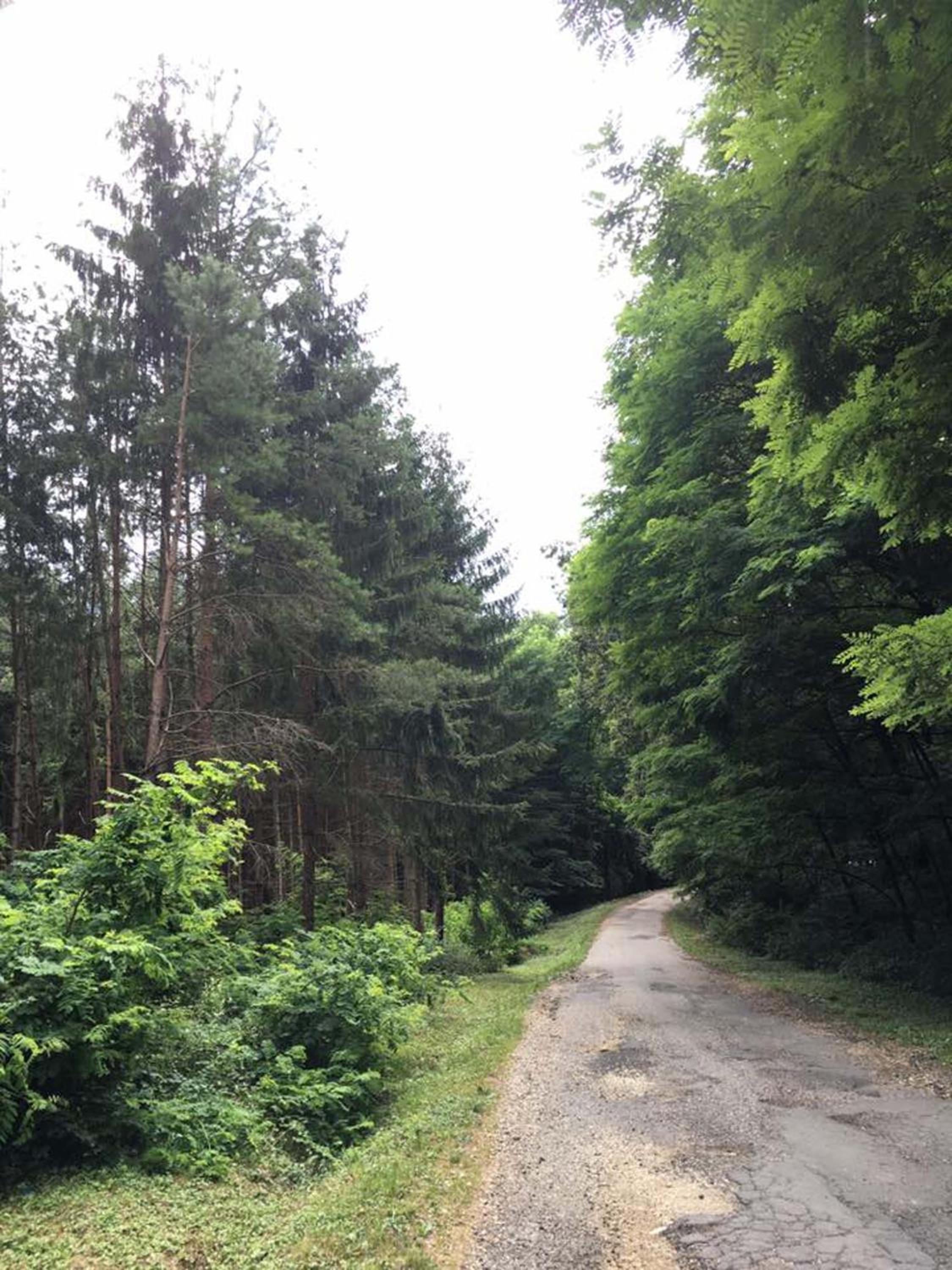 Photo 23