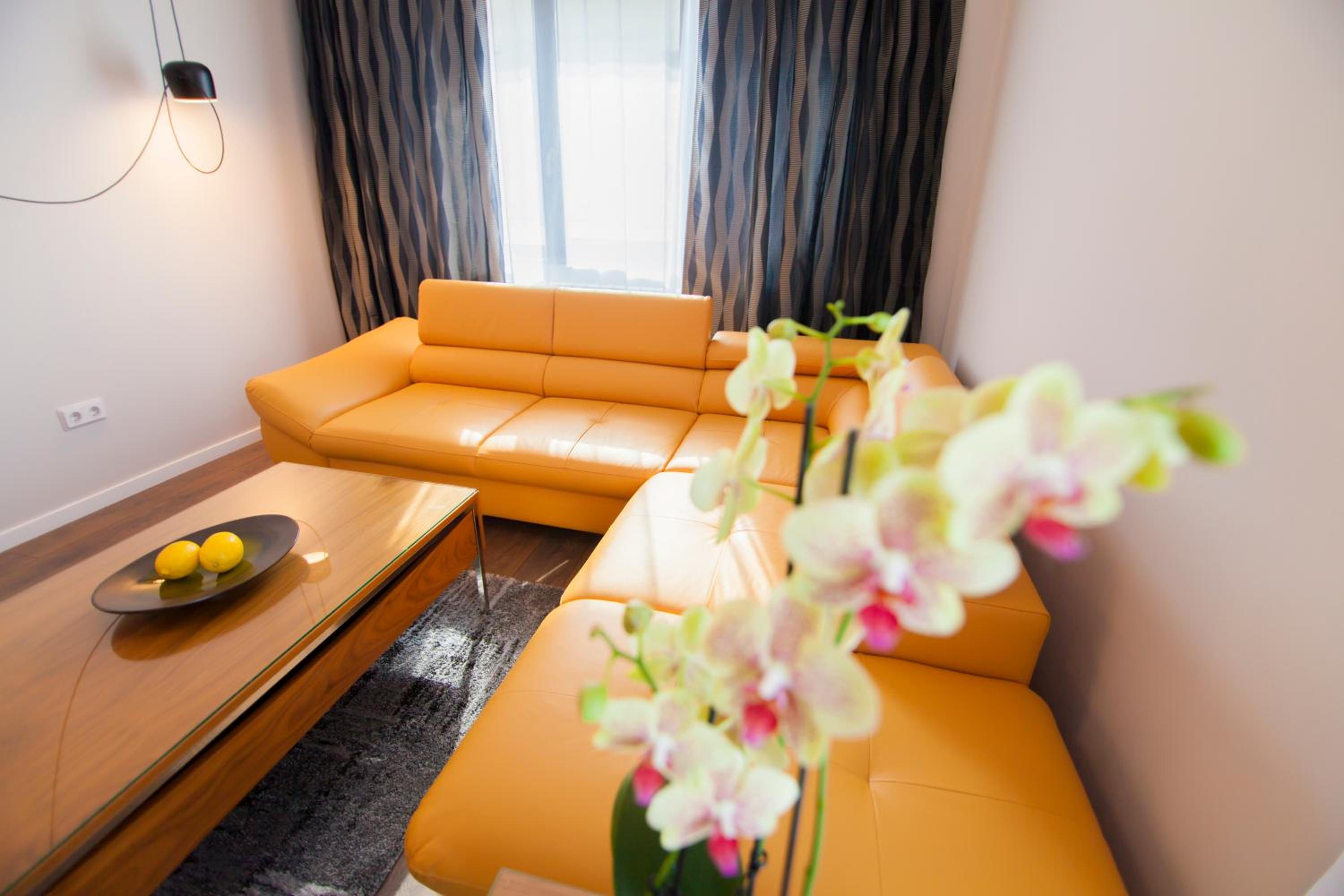 Cluj Business Class