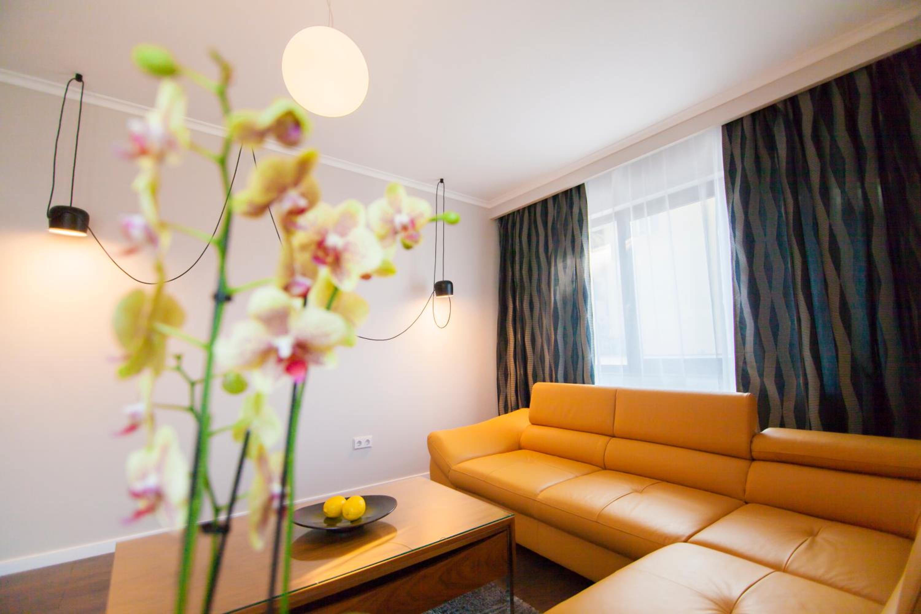 Cluj Business Class