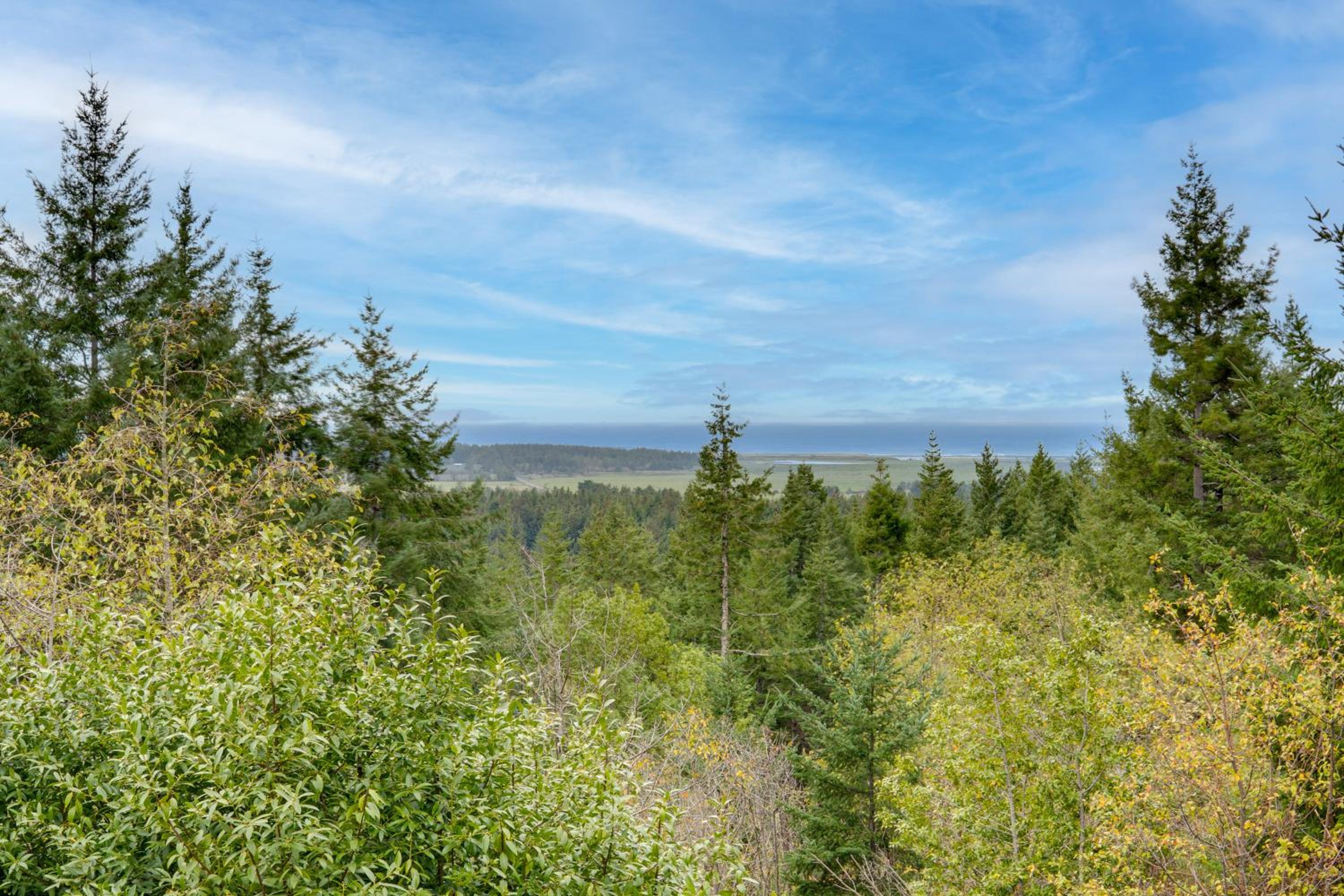 Pacific View Home Hot Tub and OceanandValley Views!