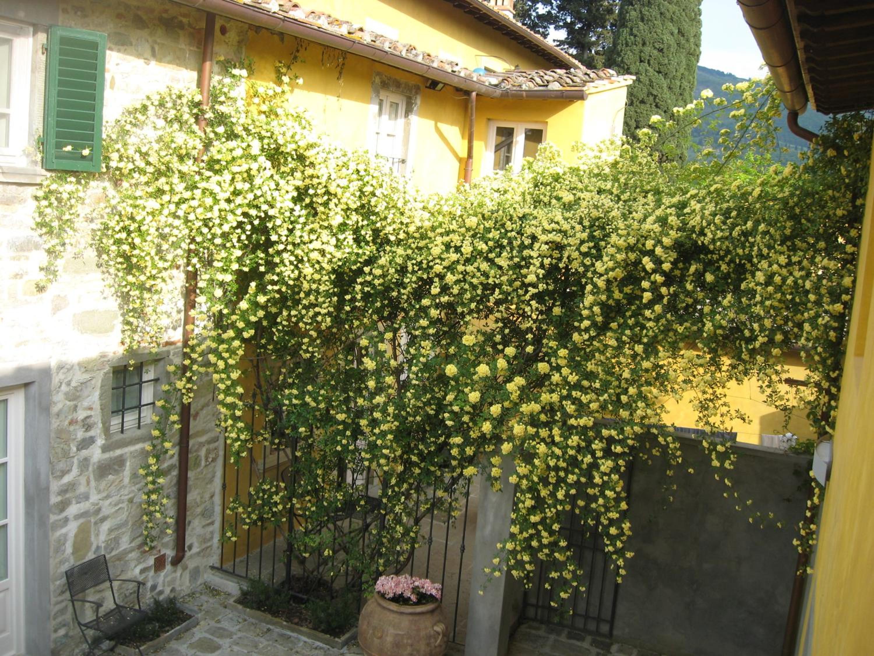 Agriturismo Villa Di Campolungo view 5