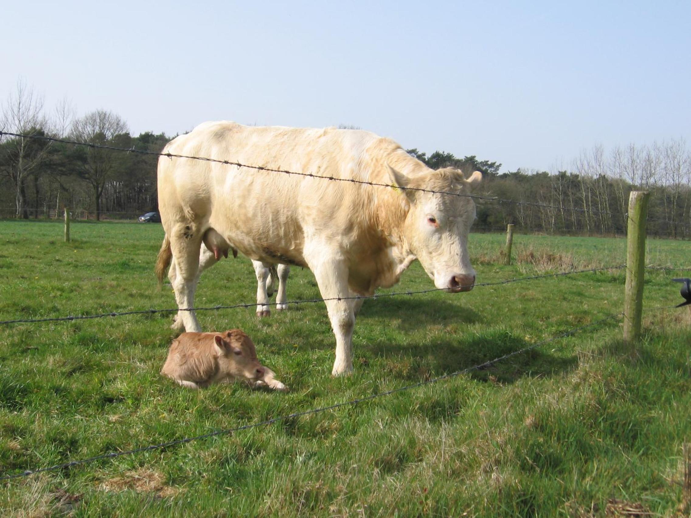De Zandkant view 4