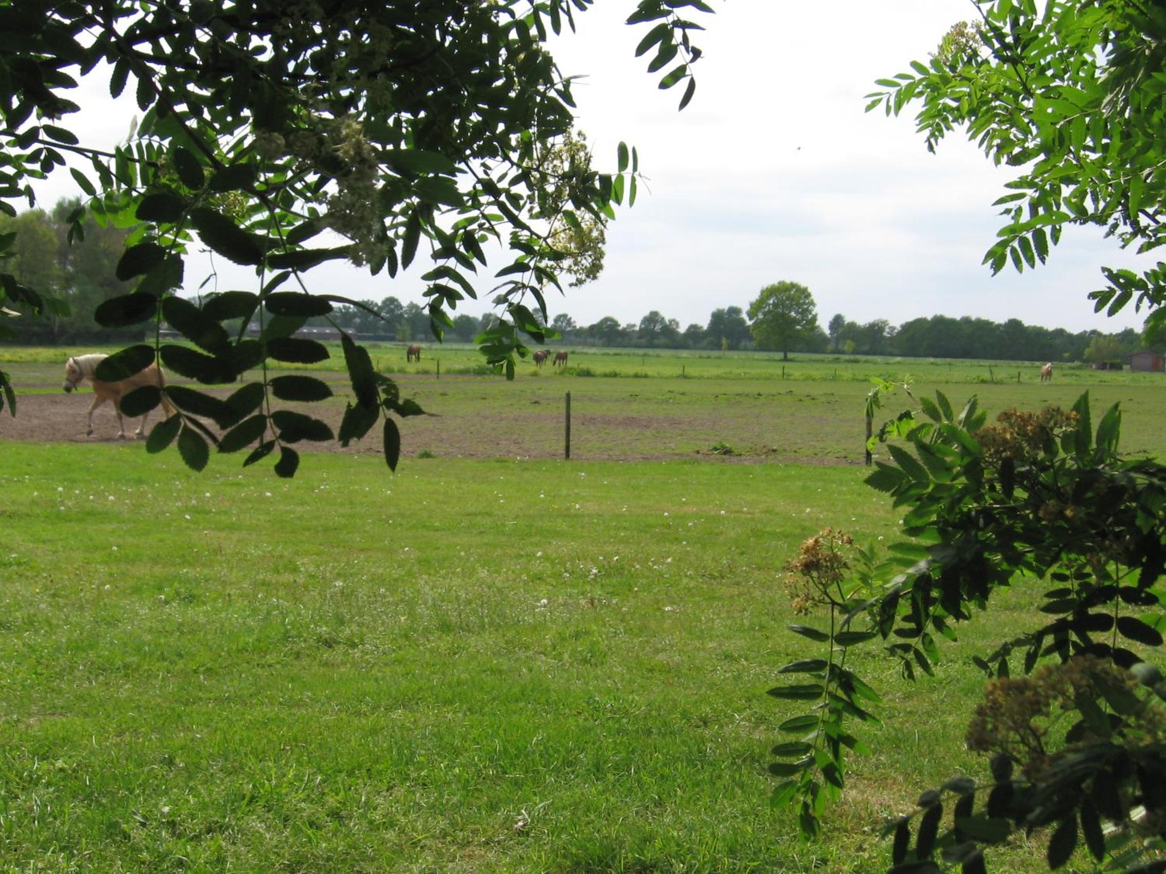 De Zandkant view 2