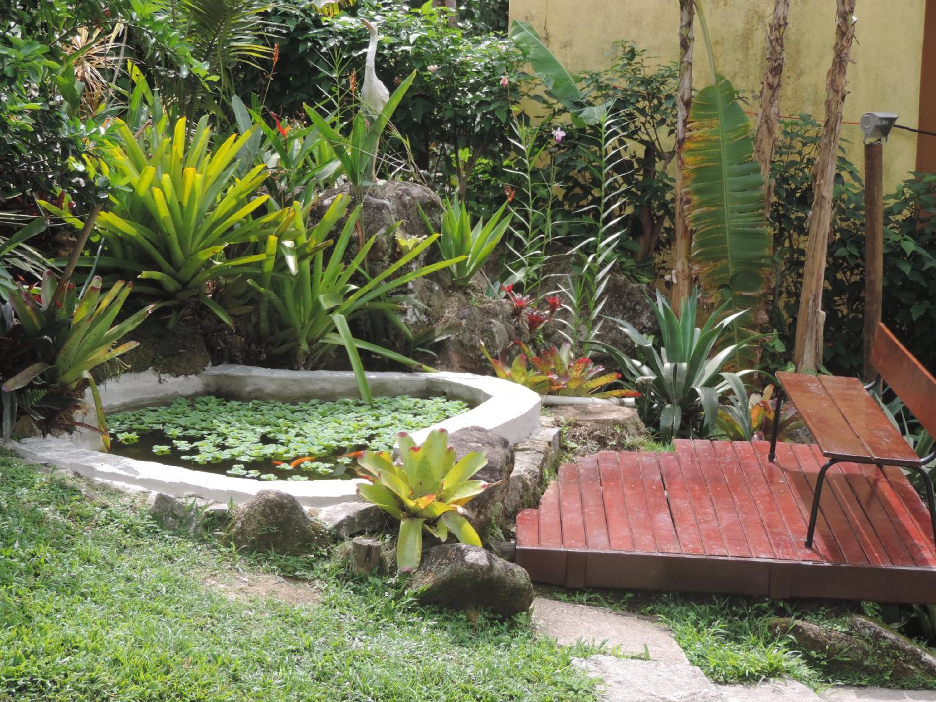 Photo 15