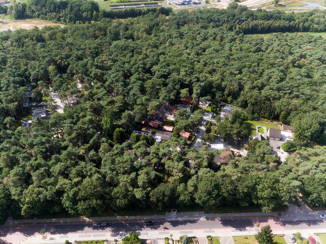 Bospark De Brenkberg view 2