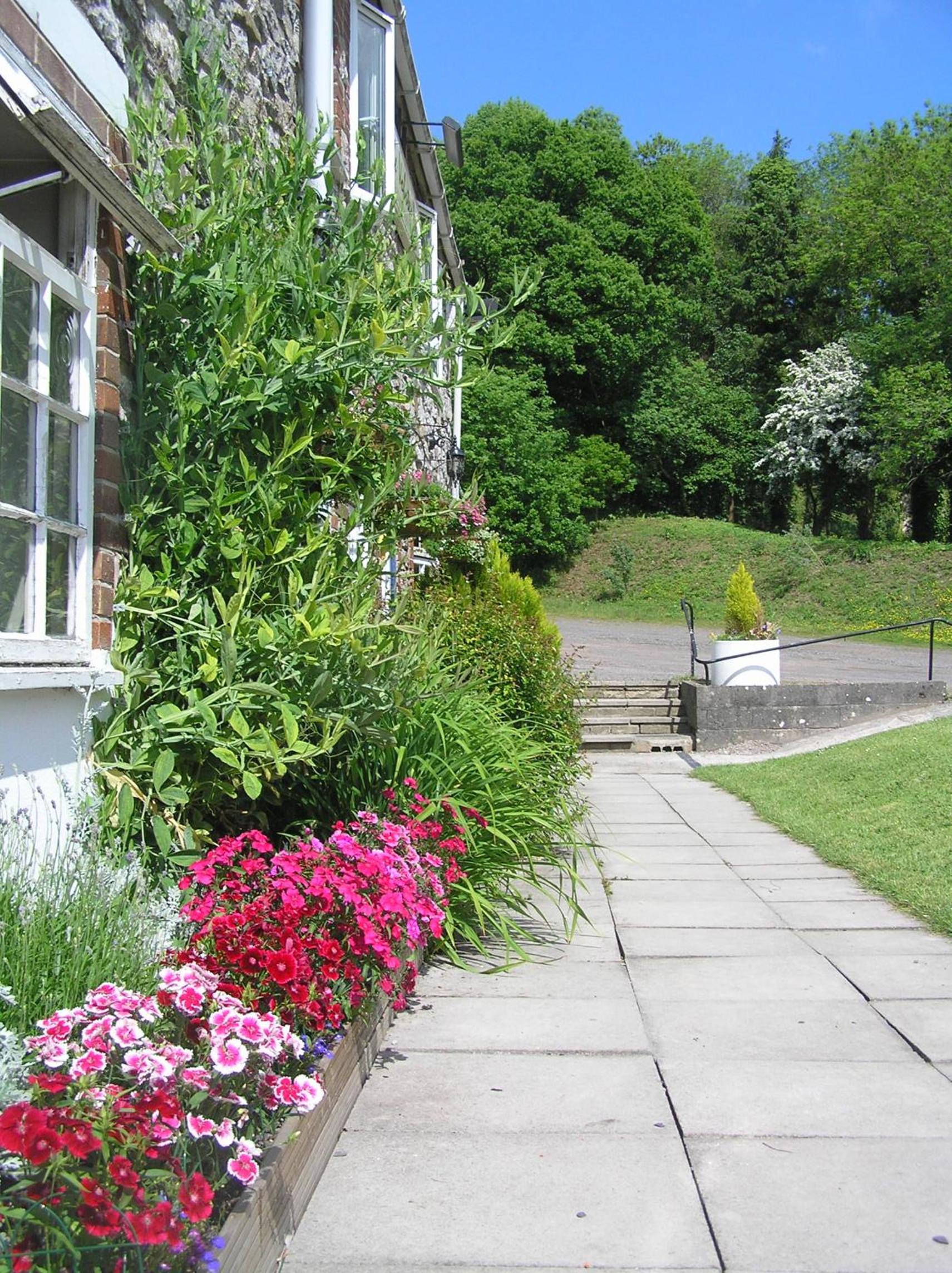 Hotel Glamping on the Hill