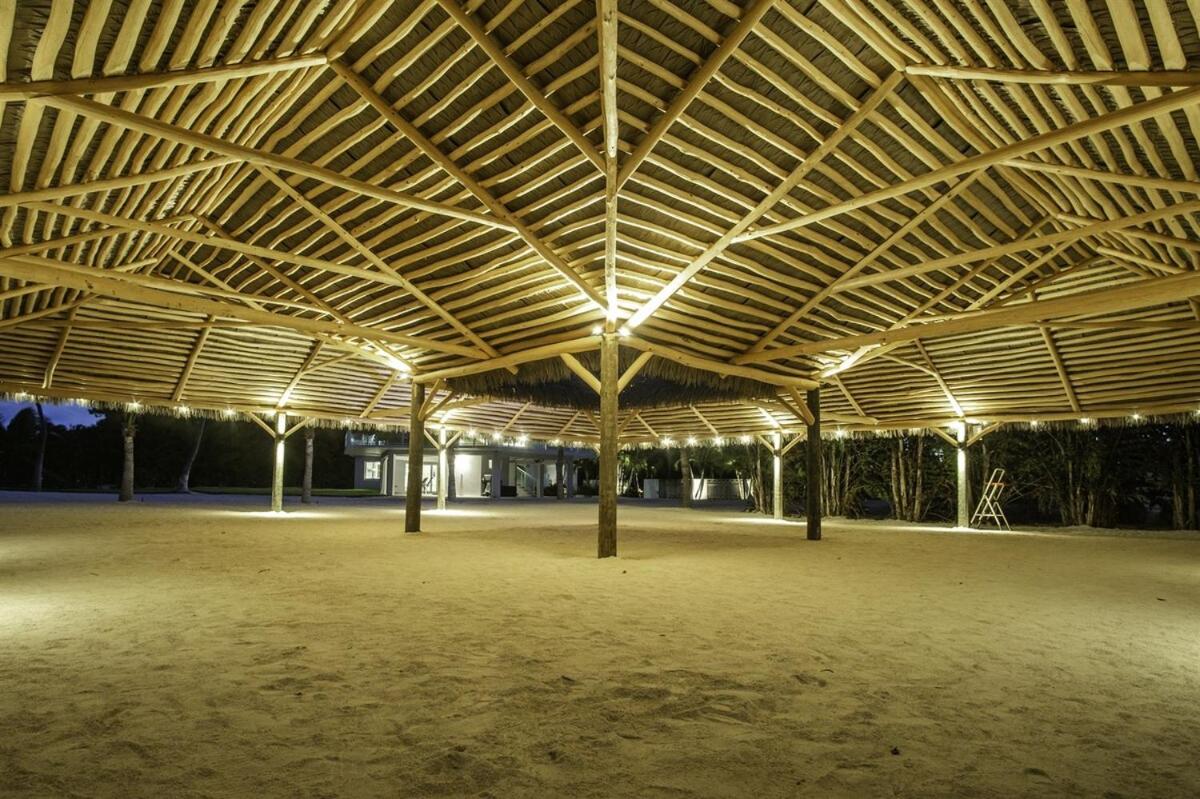 The Oasis
