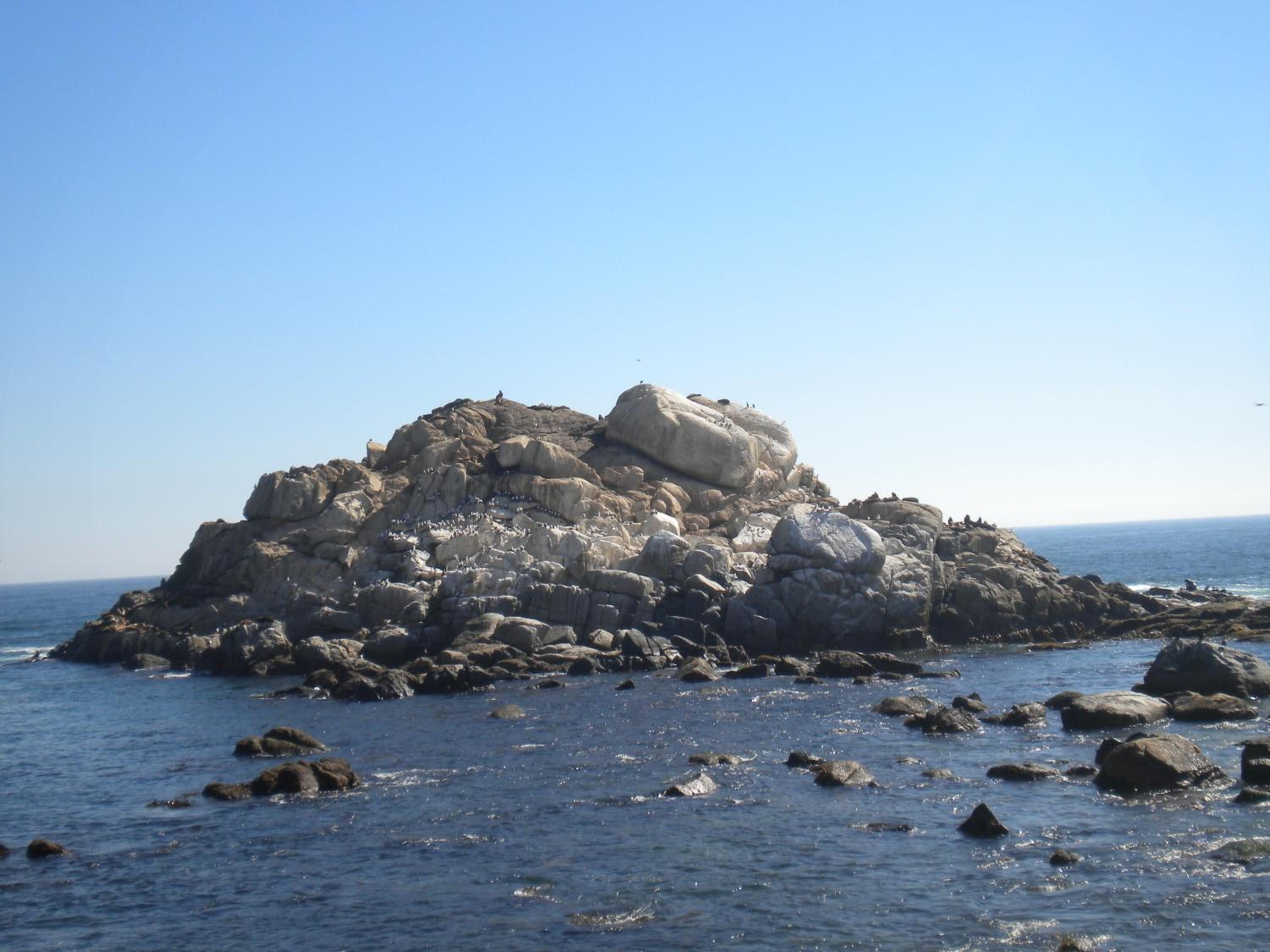 Photo 23