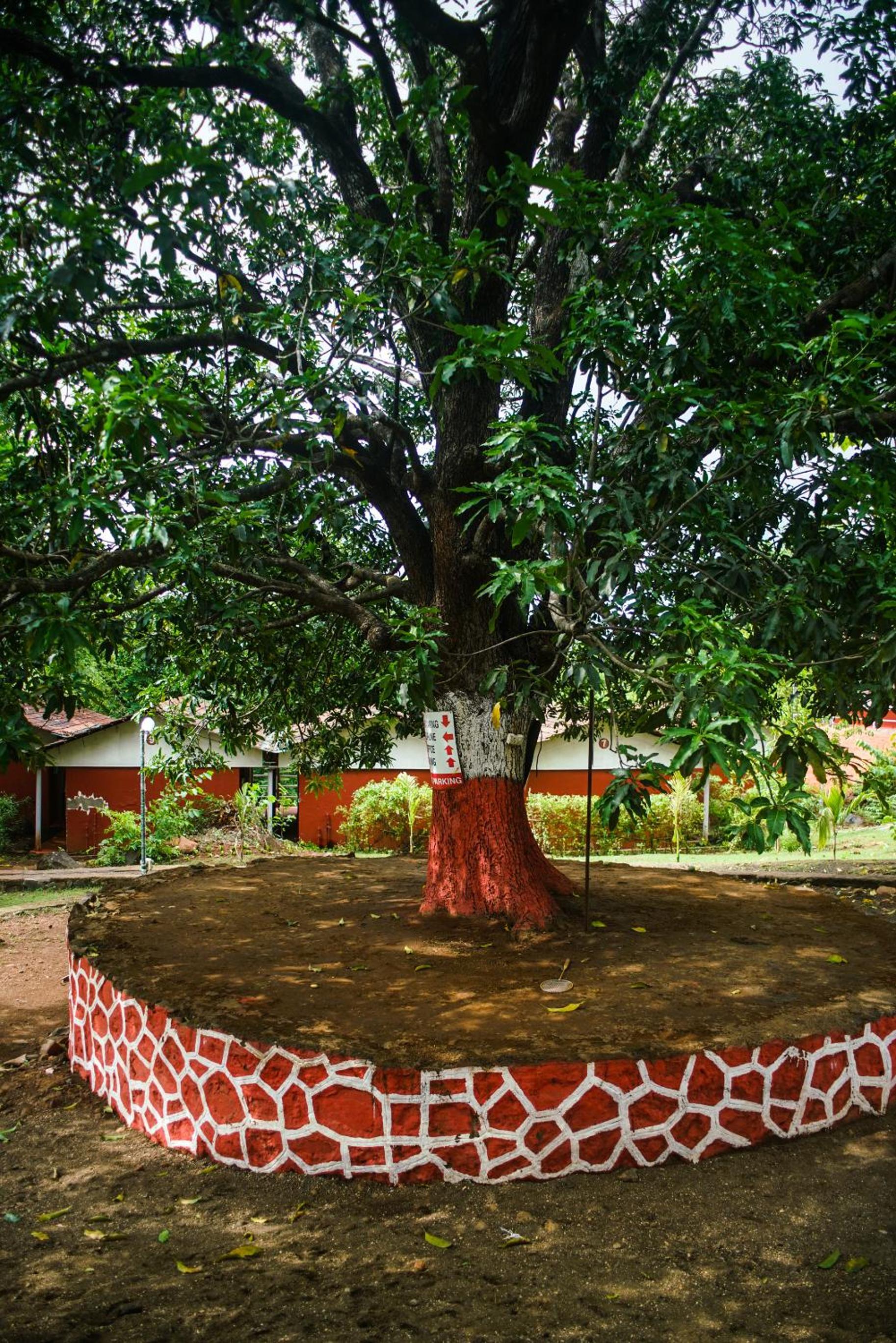Nature Trails Kundalika, Kolad