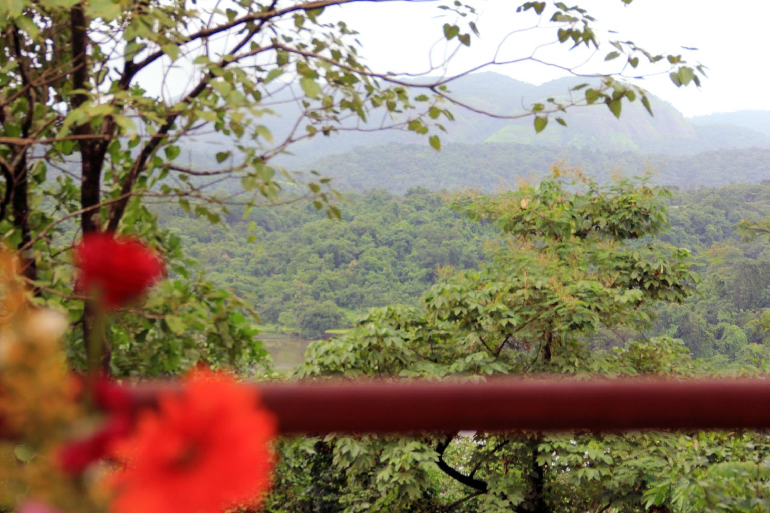 Nature Trails Kundalika, Kolad