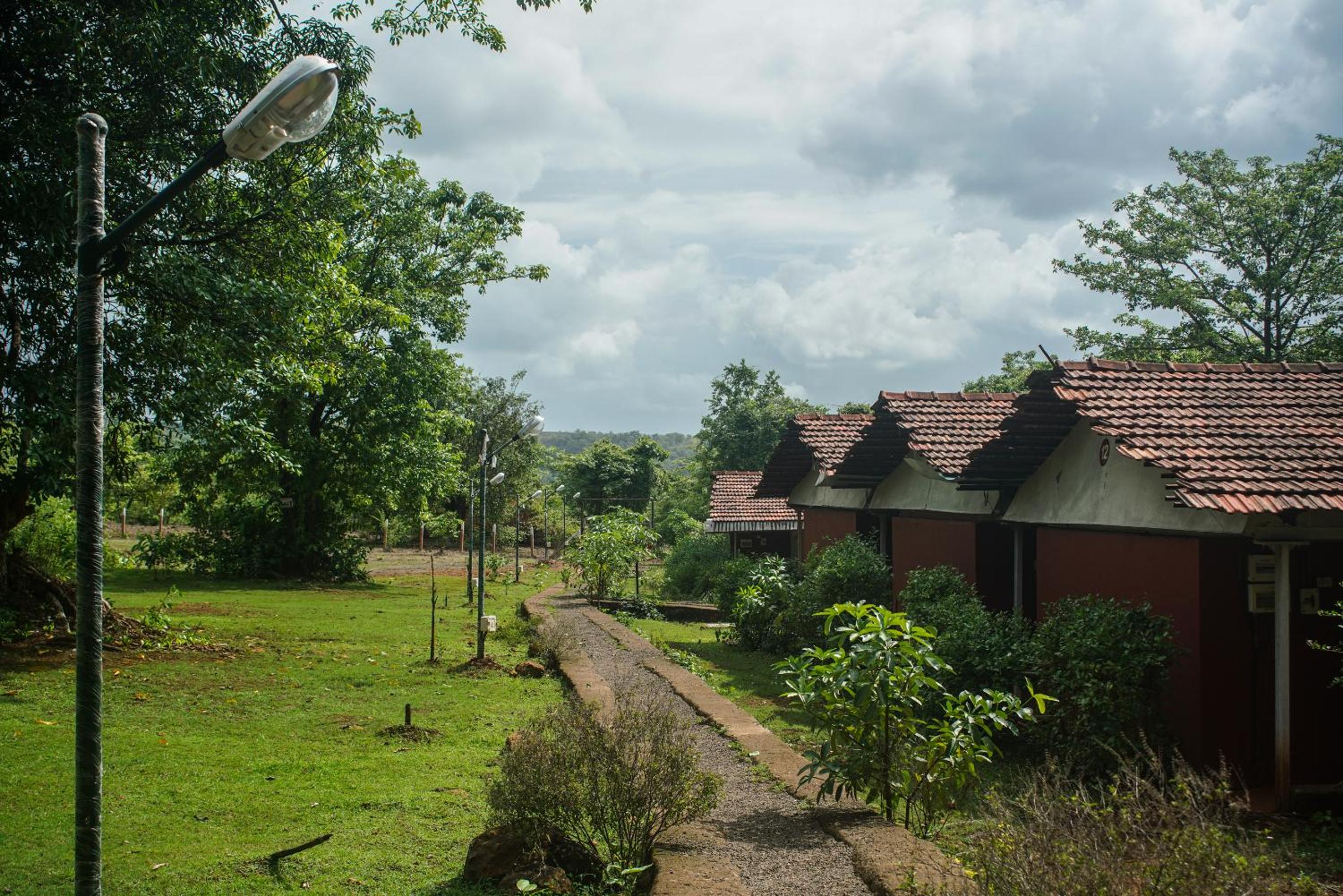 Nature Trails Kundalika, Kolad