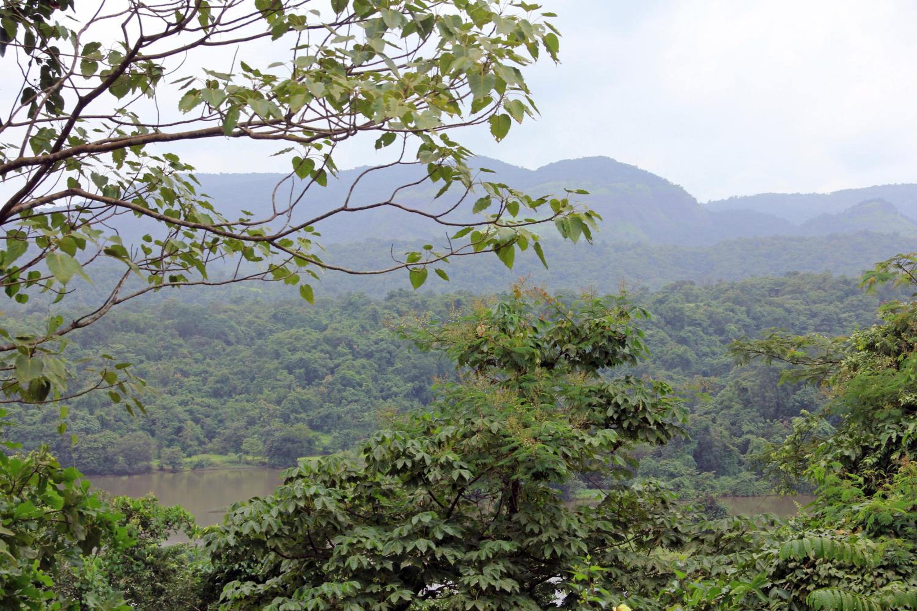 Nature Trails Kundalika, Kolad