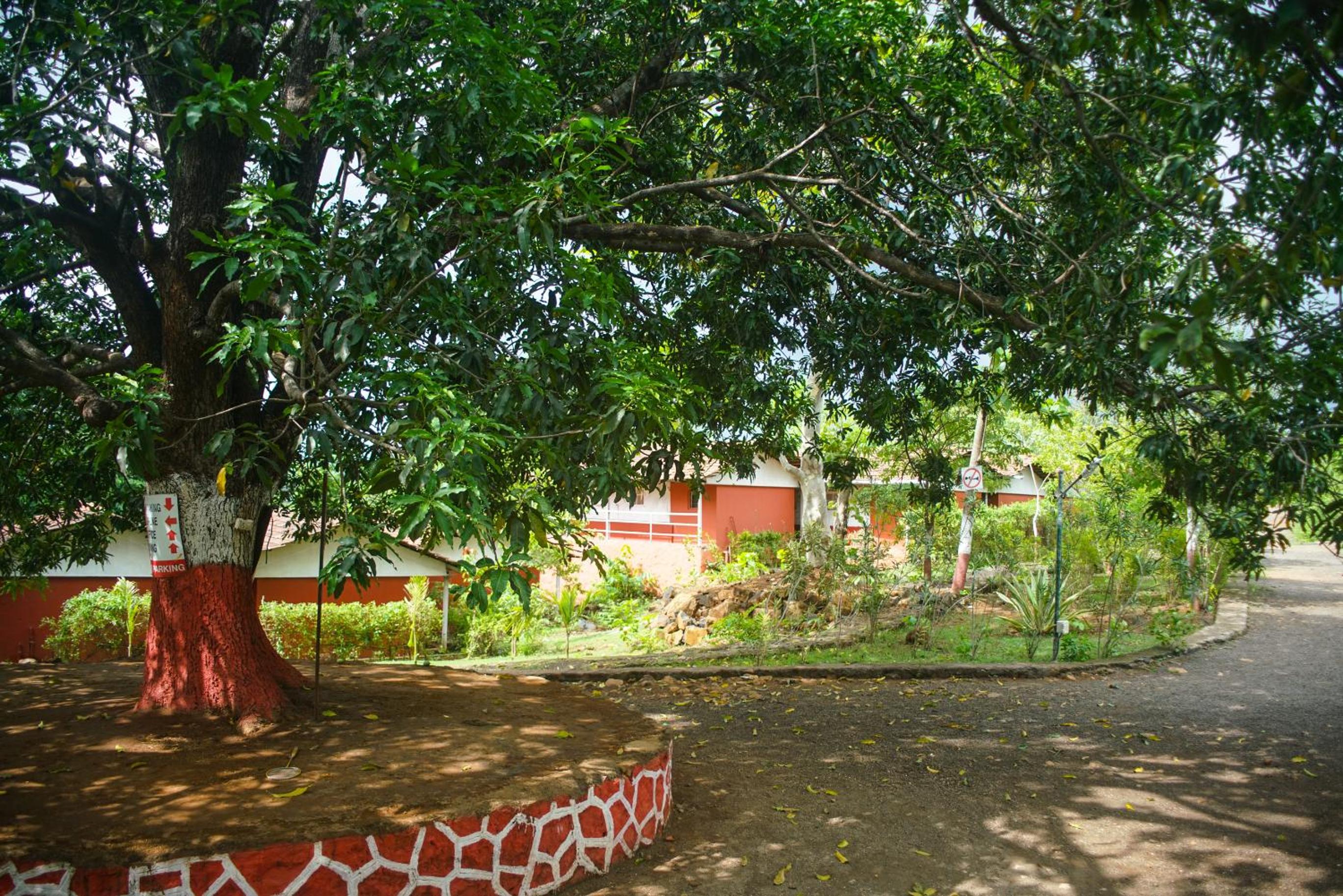 Nature Trails Kundalika, Kolad
