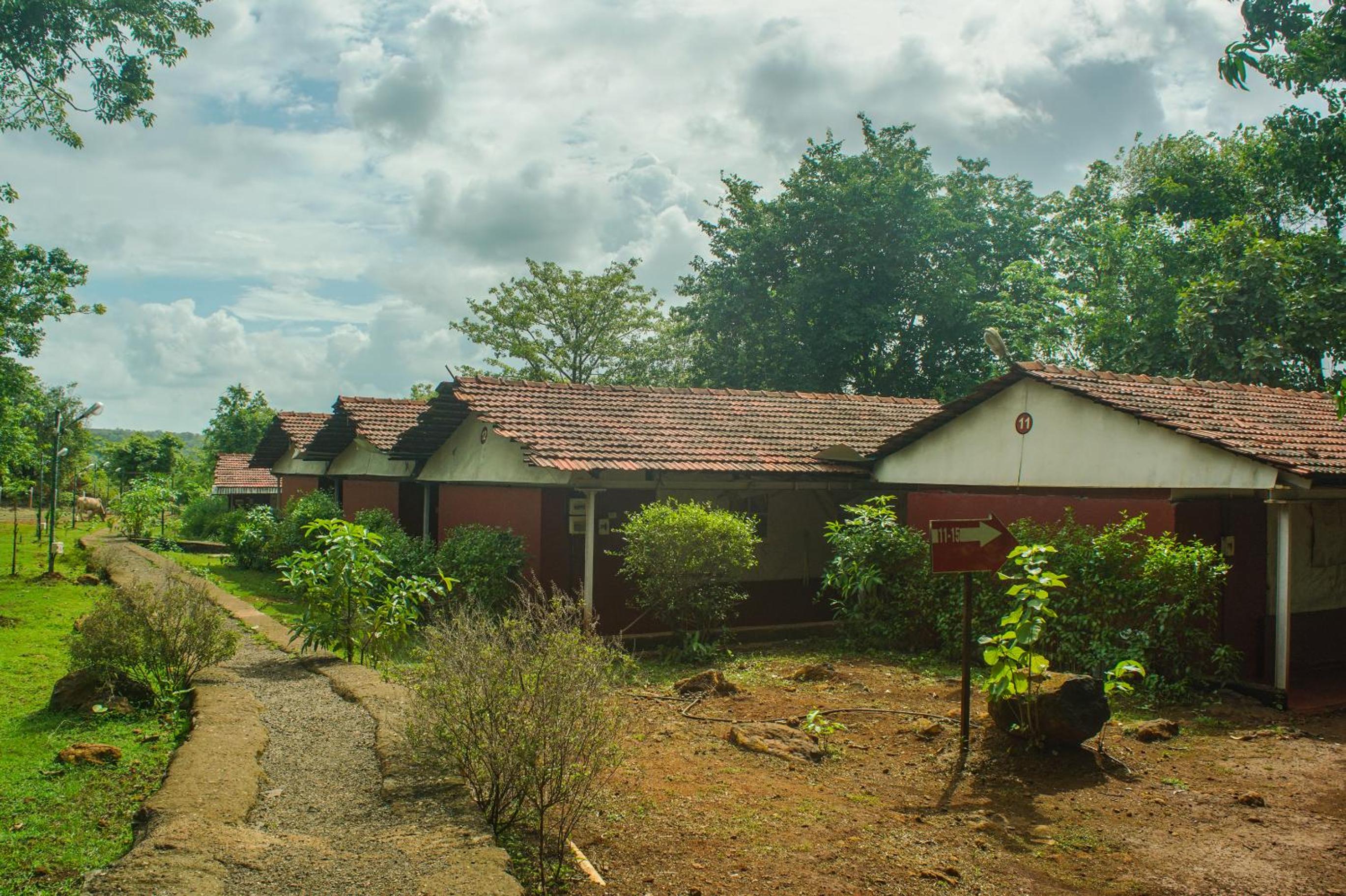 Nature Trails Kundalika, Kolad