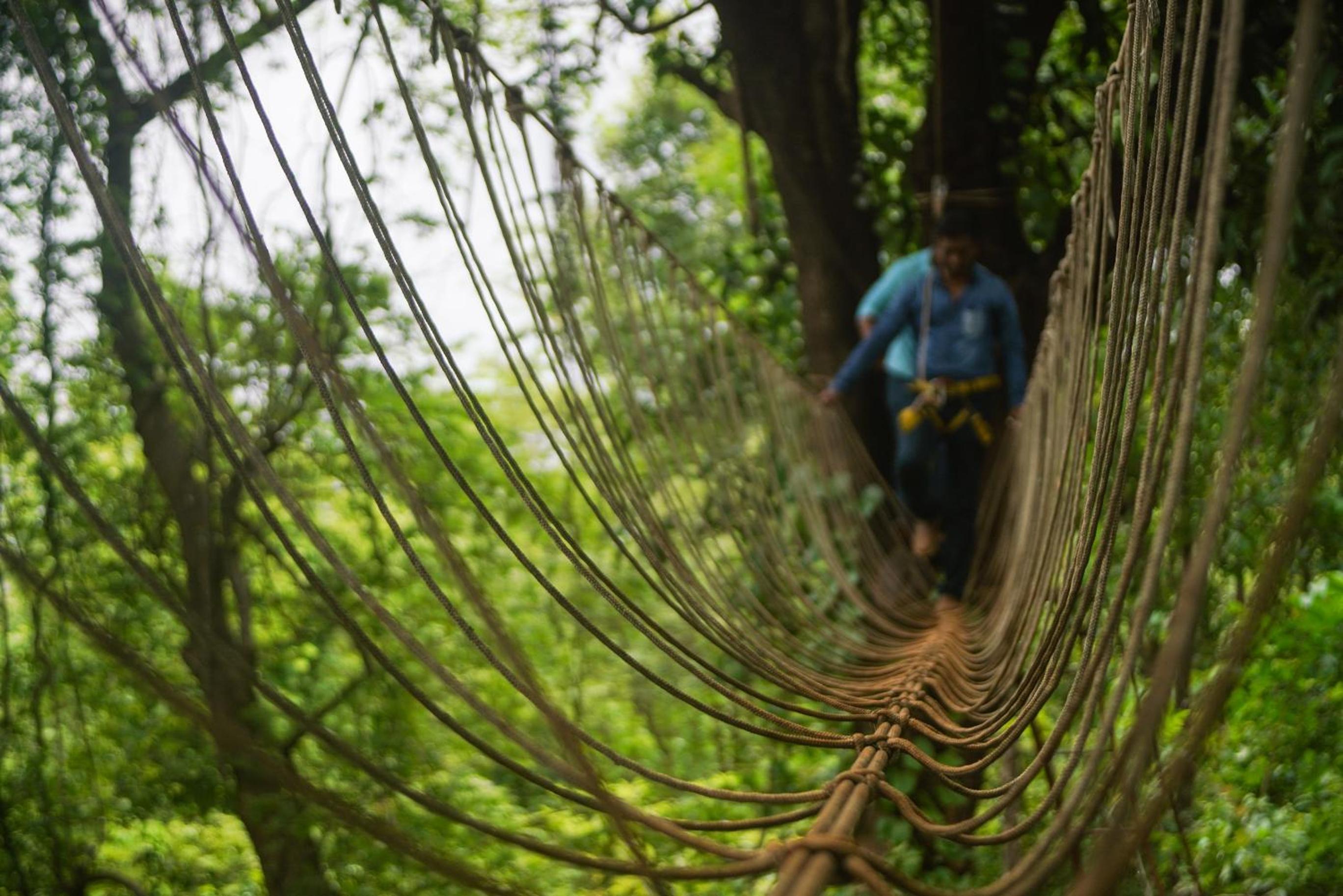 Nature Trails Kundalika, Kolad
