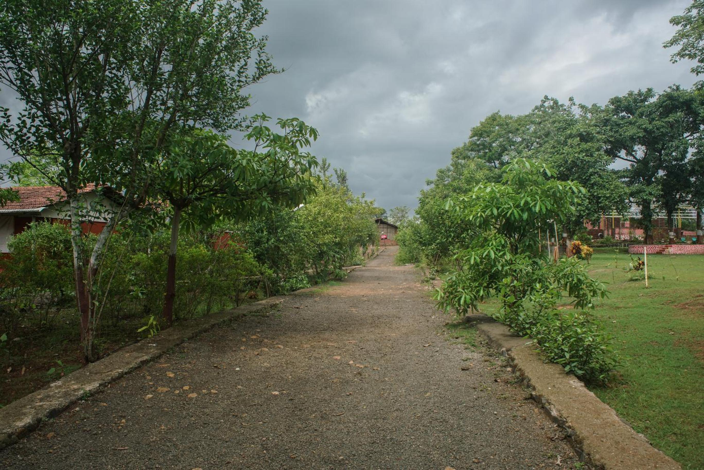 Nature Trails Kundalika, Kolad