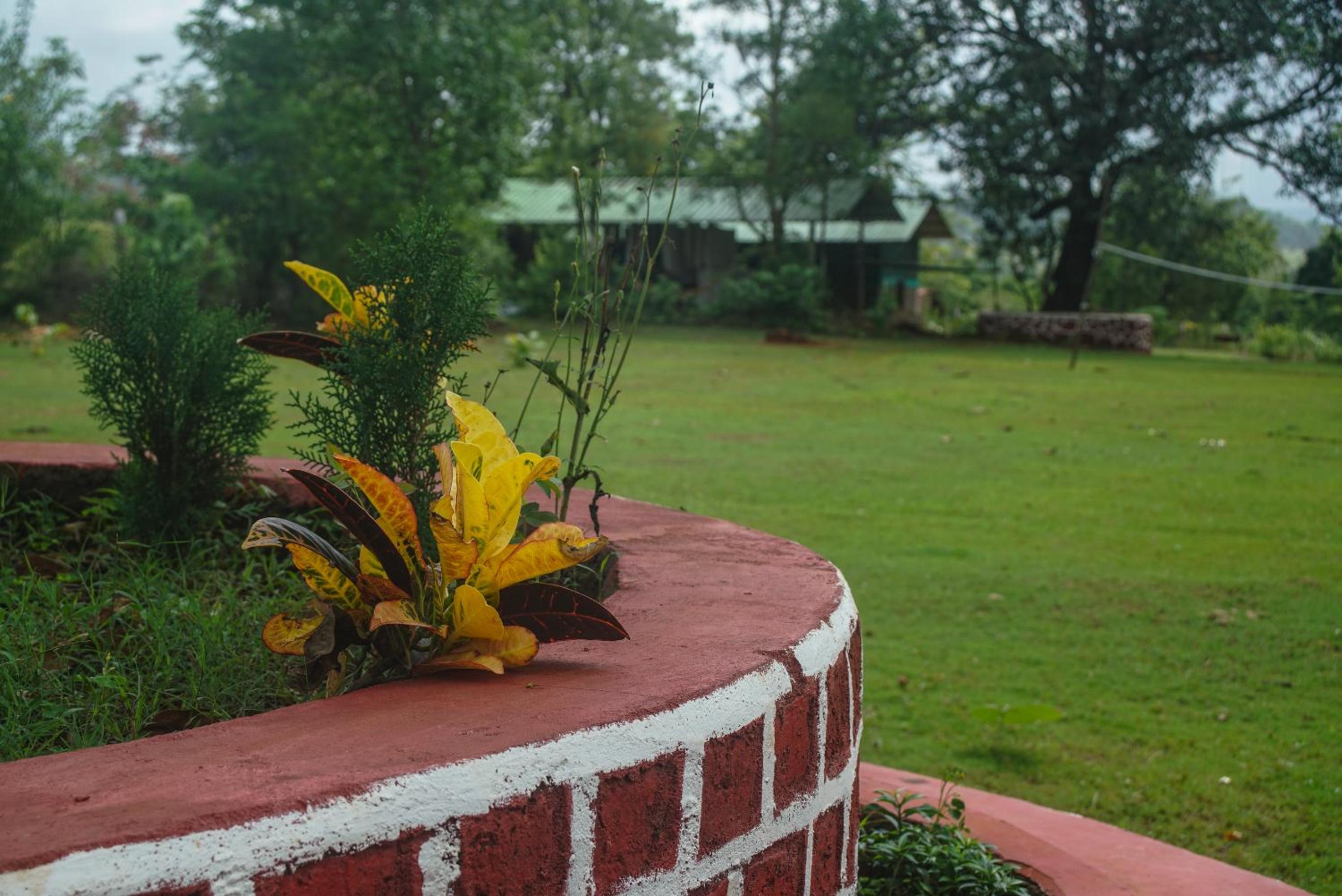Nature Trails Kundalika, Kolad