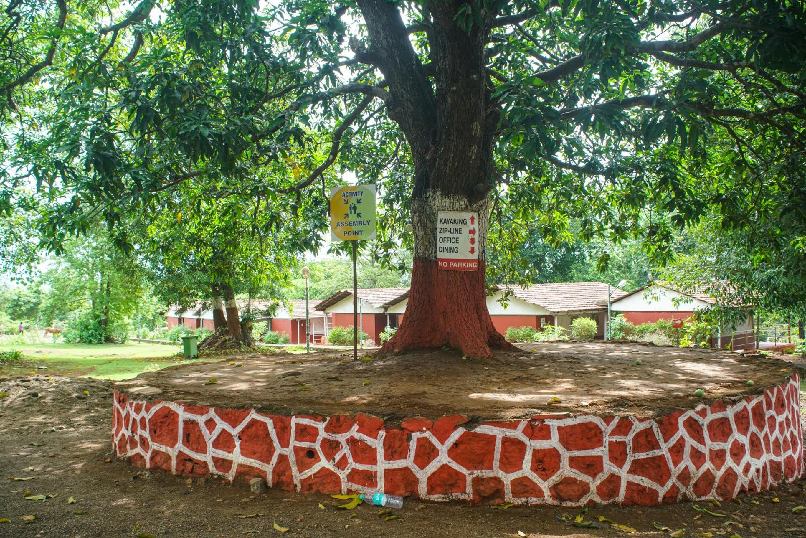 Nature Trails Kundalika, Kolad