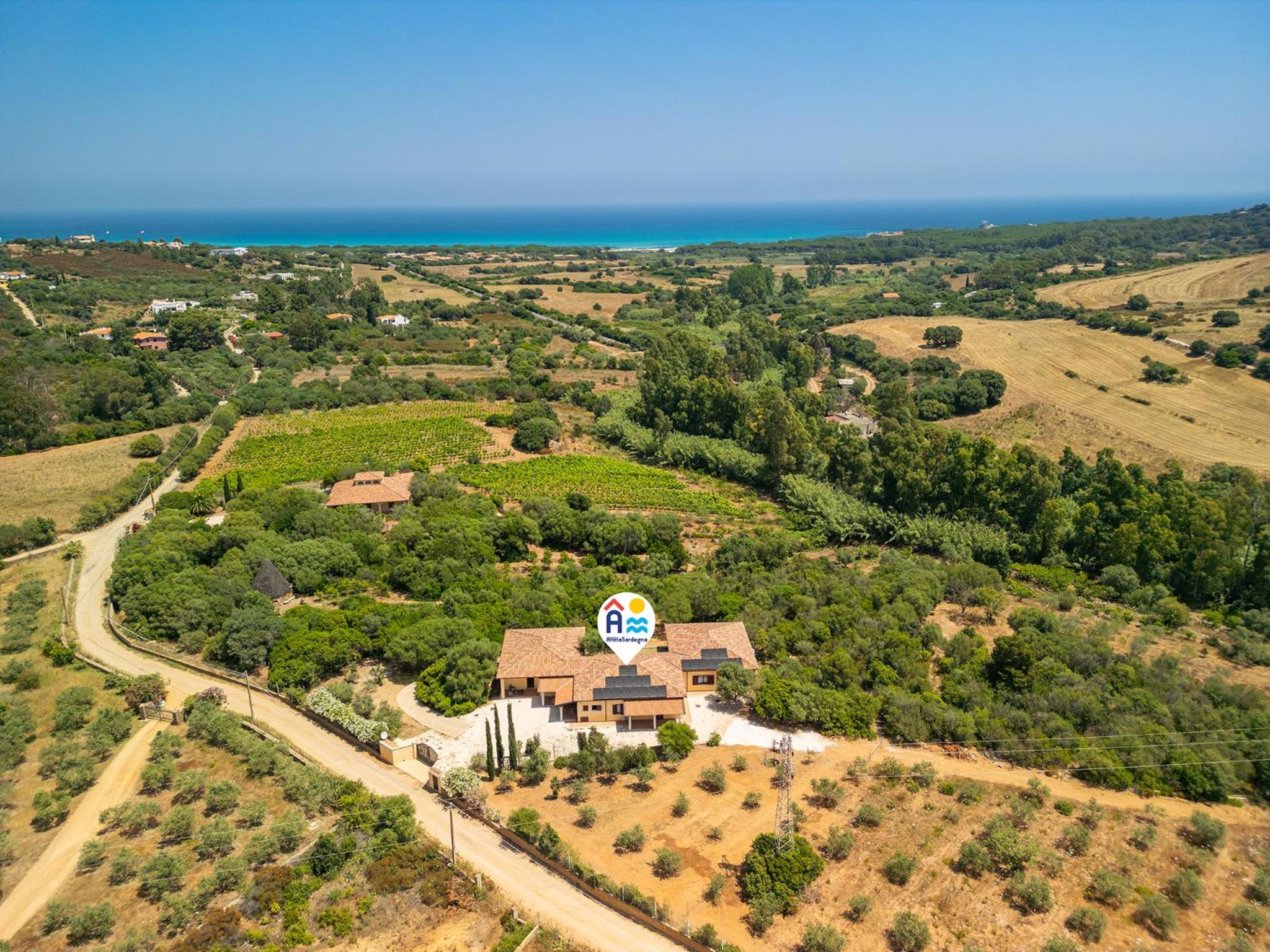 Euforbia Complex