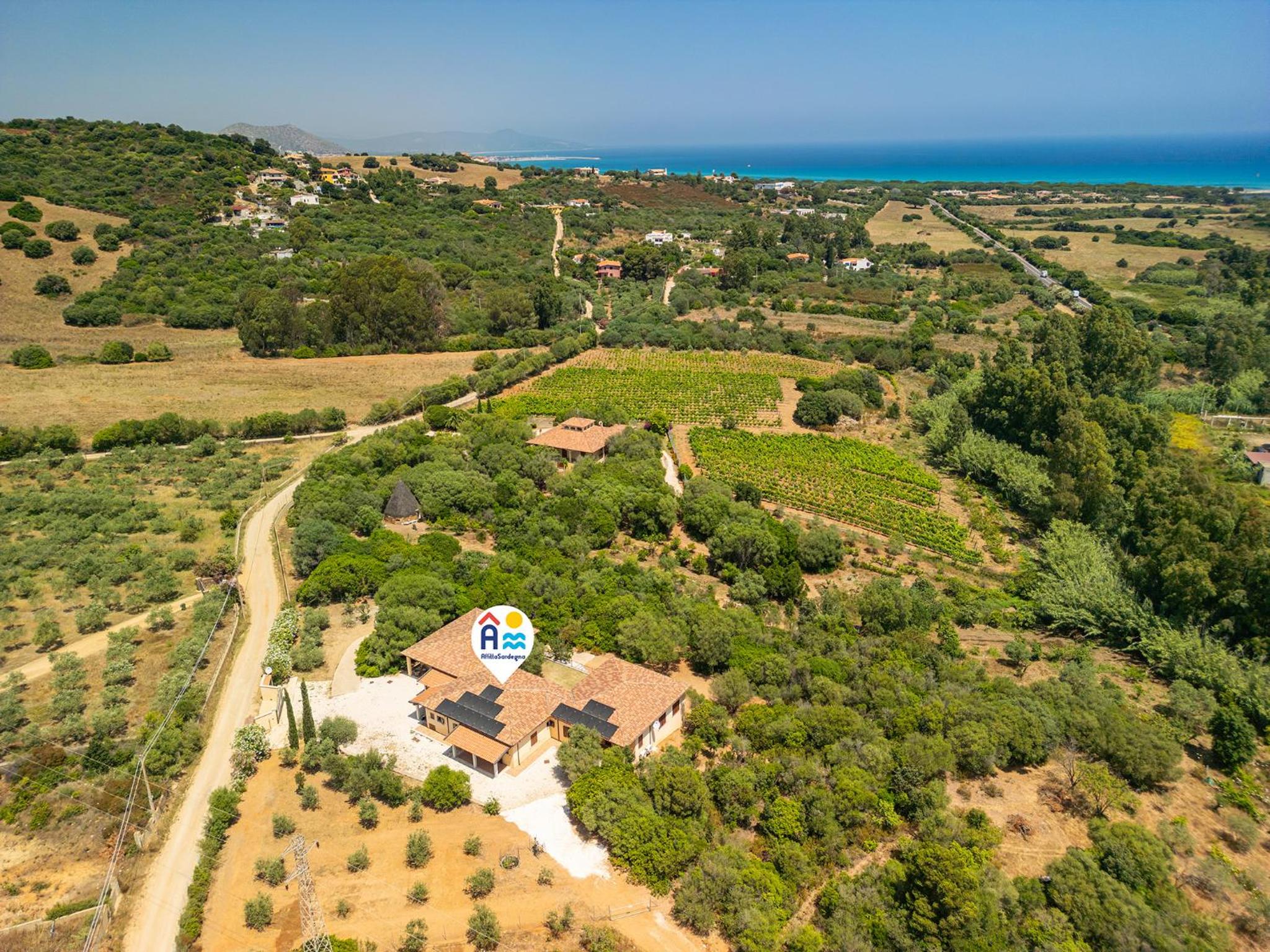 Euforbia Complex