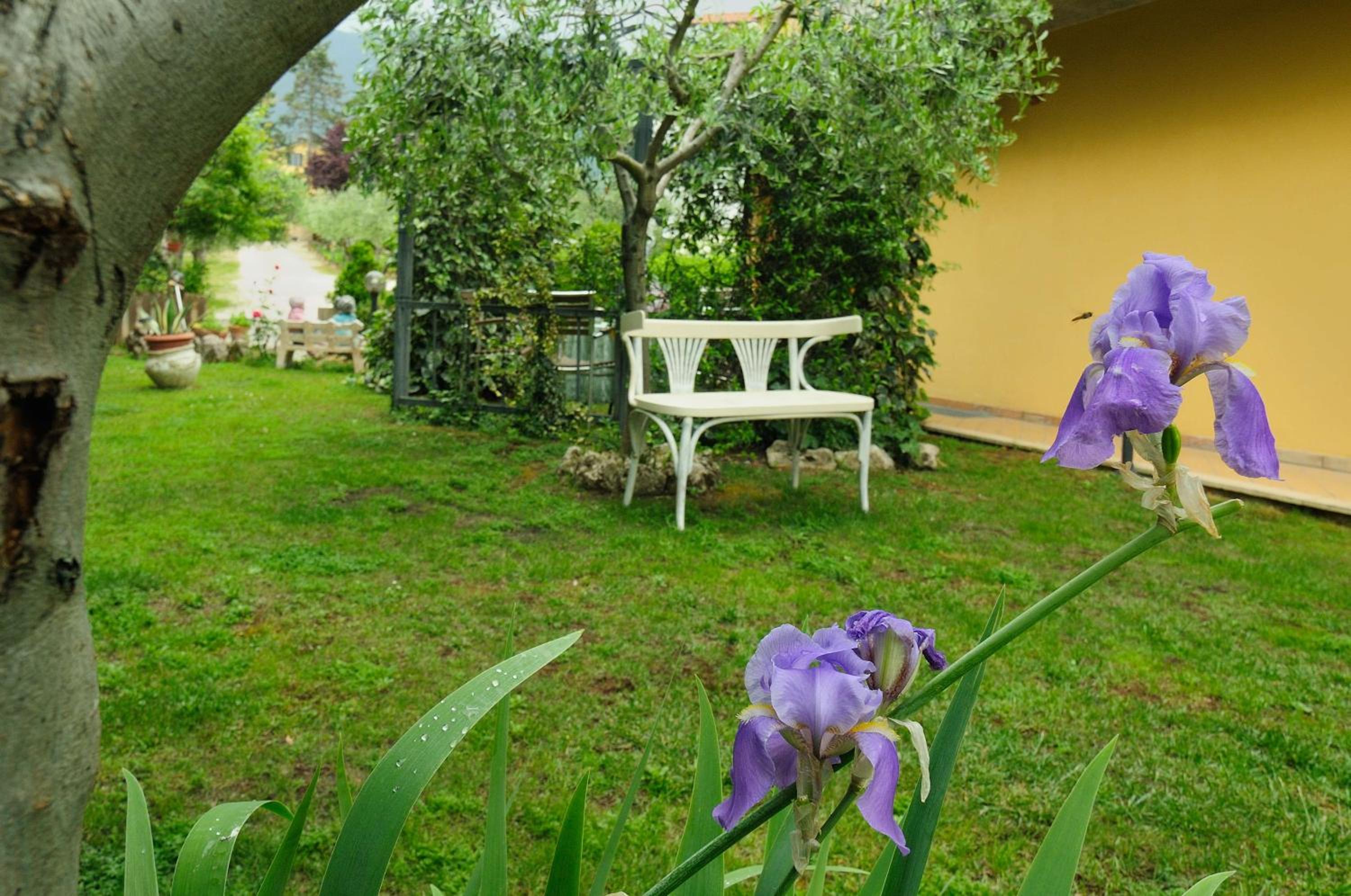 Photo 4